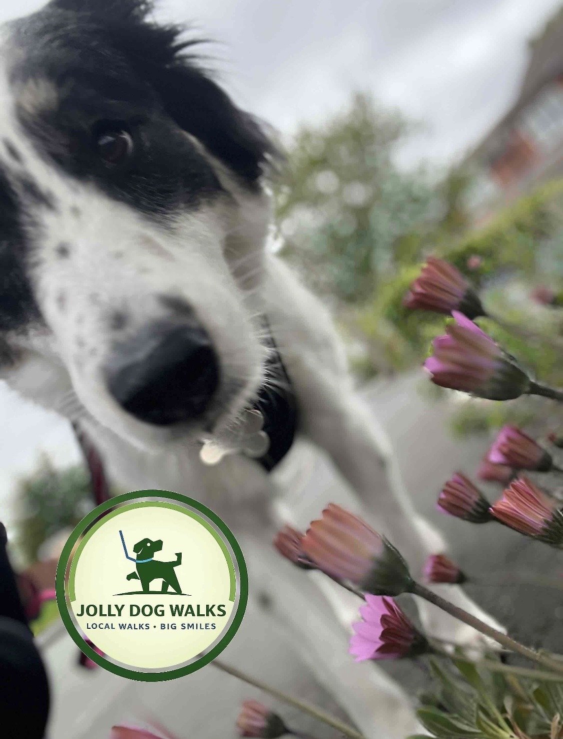 Puppy care for new owners in Tatenhill: a practical guide
