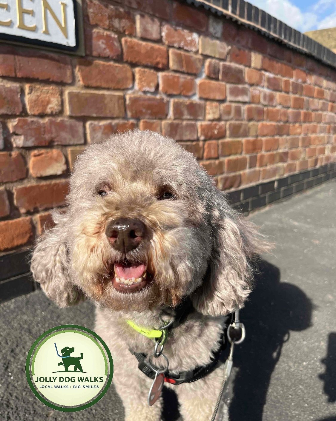 Puppy Care in Yoxall: A Practical Checklist for Choosing the Right Support