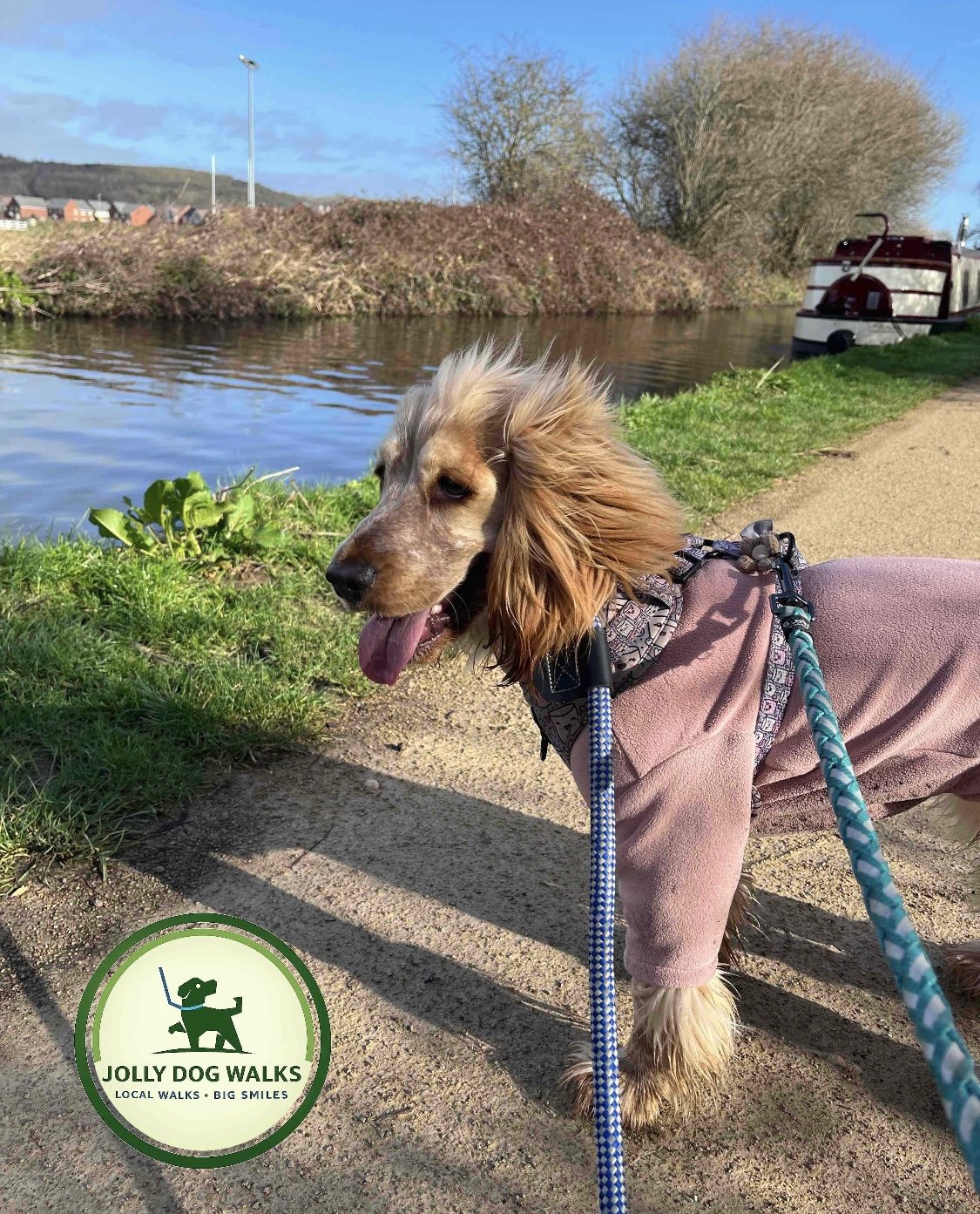 Puppy Sitter in Yoxall: How to Choose the Right Puppy Visits