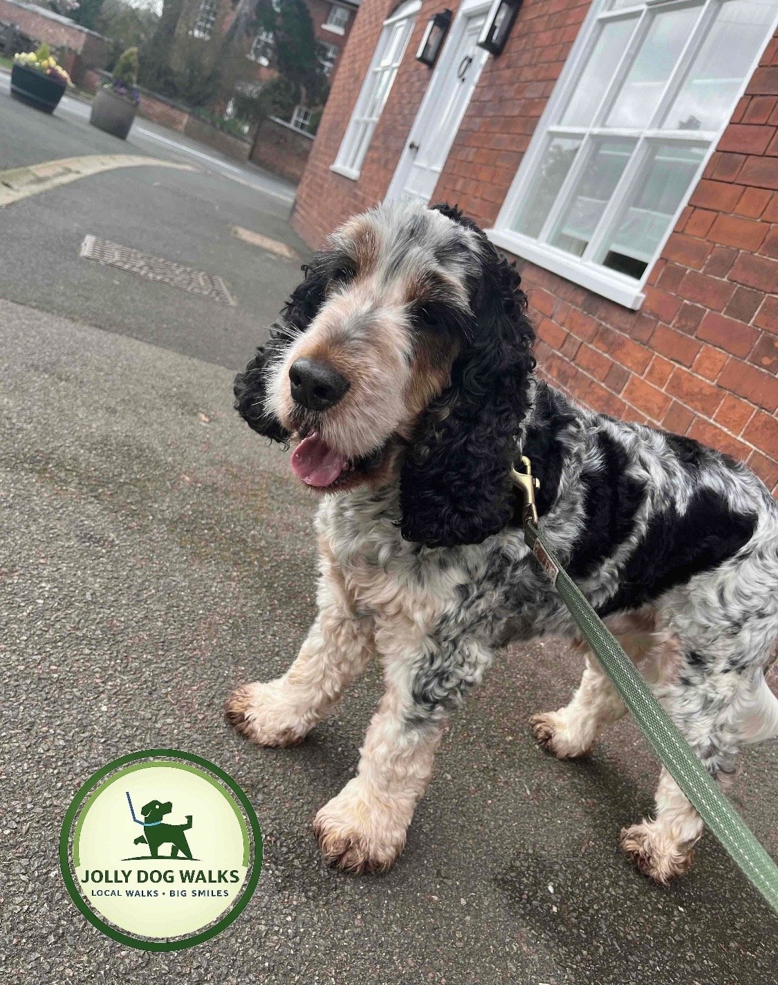 Secure Dog Field Visits in Burton: A Local Guide