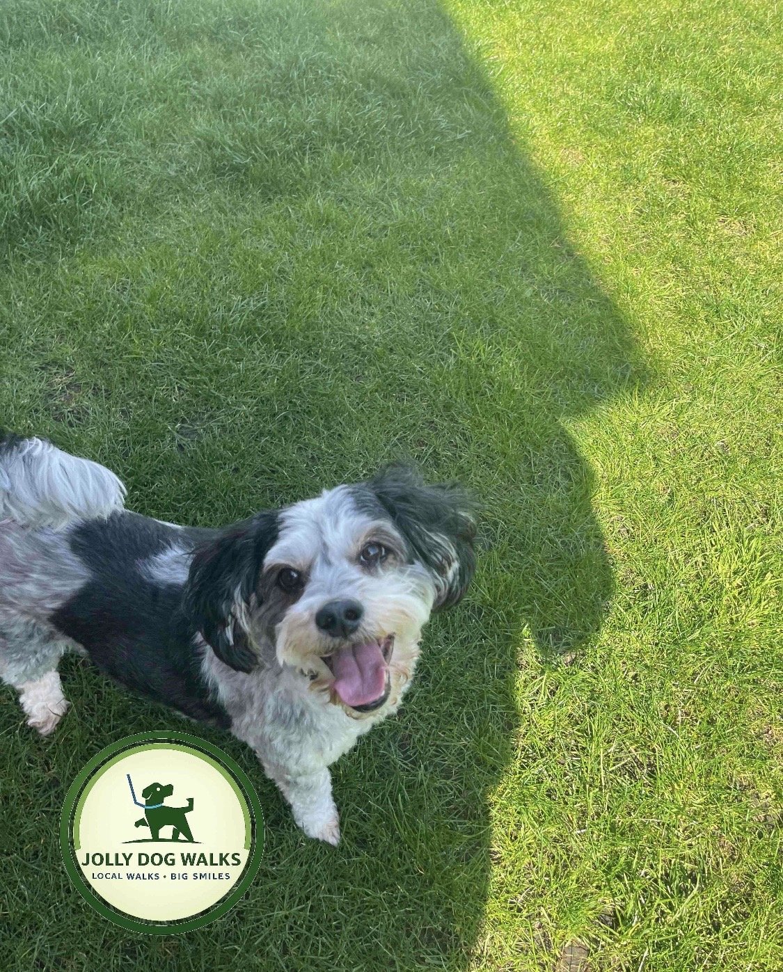 Small Animal Sitter in Staffordshire: 2026 Guide