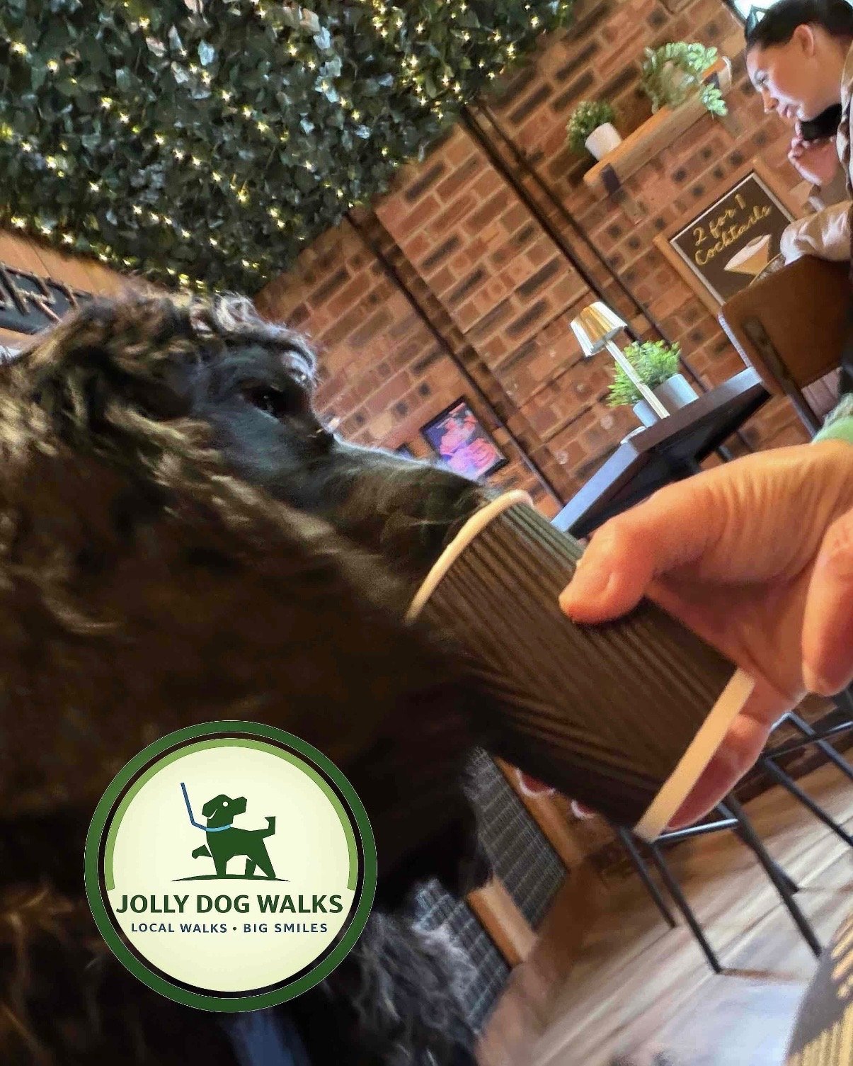 The Ultimate Guide to Midday Dog Walking in Burton upon Trent