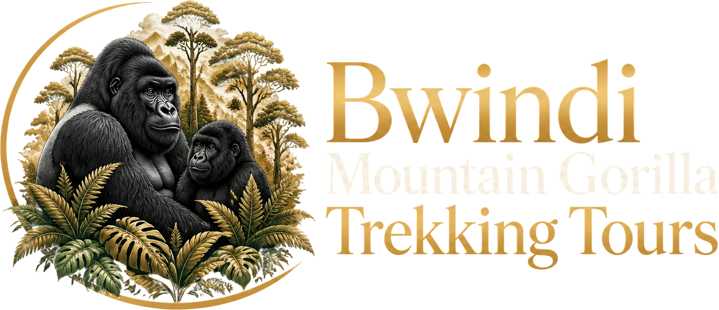 Bwindi Mountain Gorilla Trekking Tours