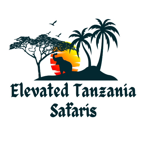 Elevated Tanzania Safaris