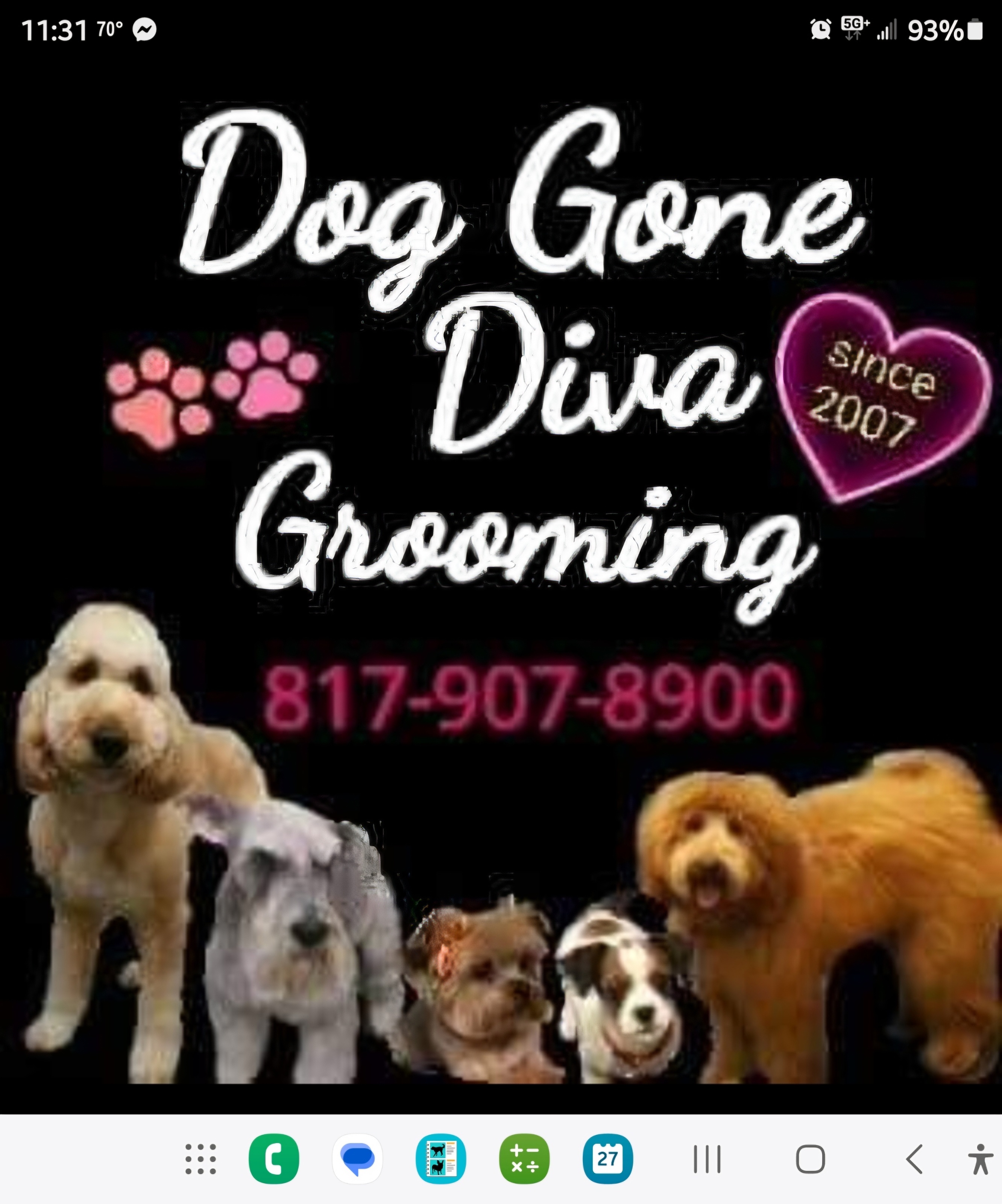 Dog Gone Diva Grooming