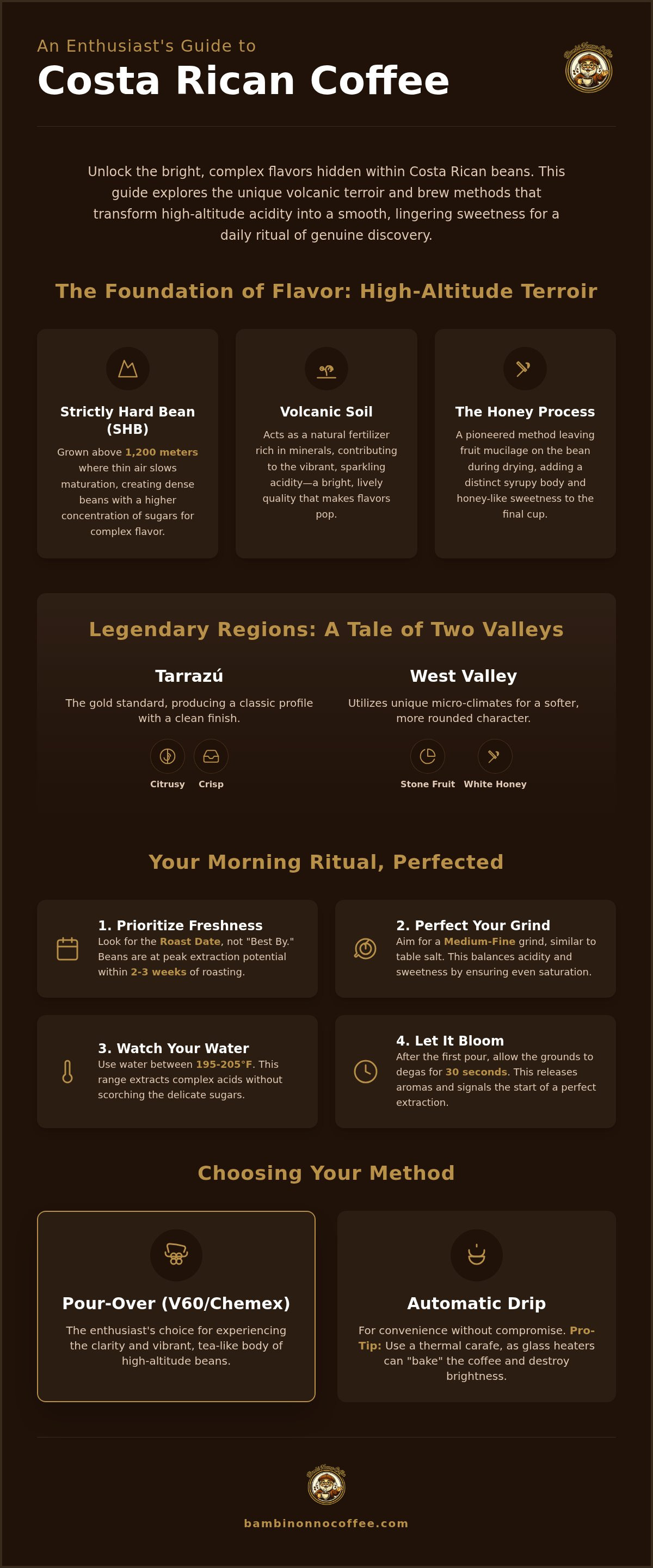 Costa rican coffee beans
