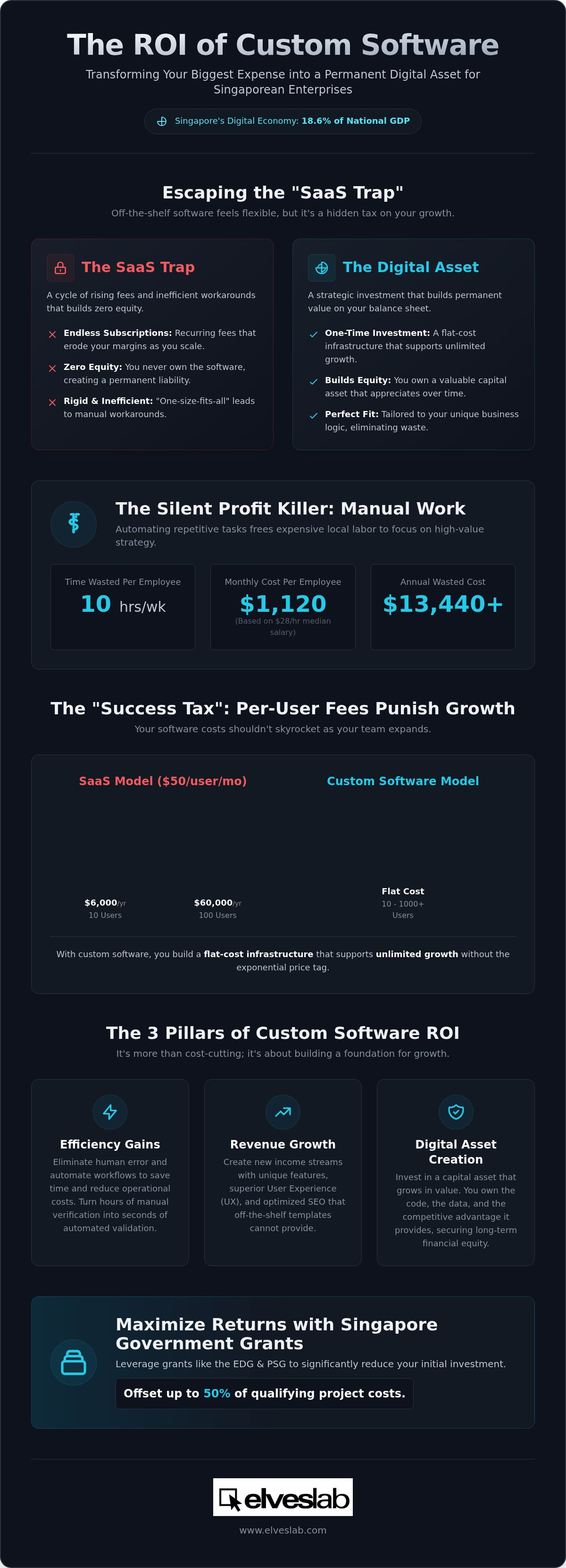 ROI of custom software development Singapore