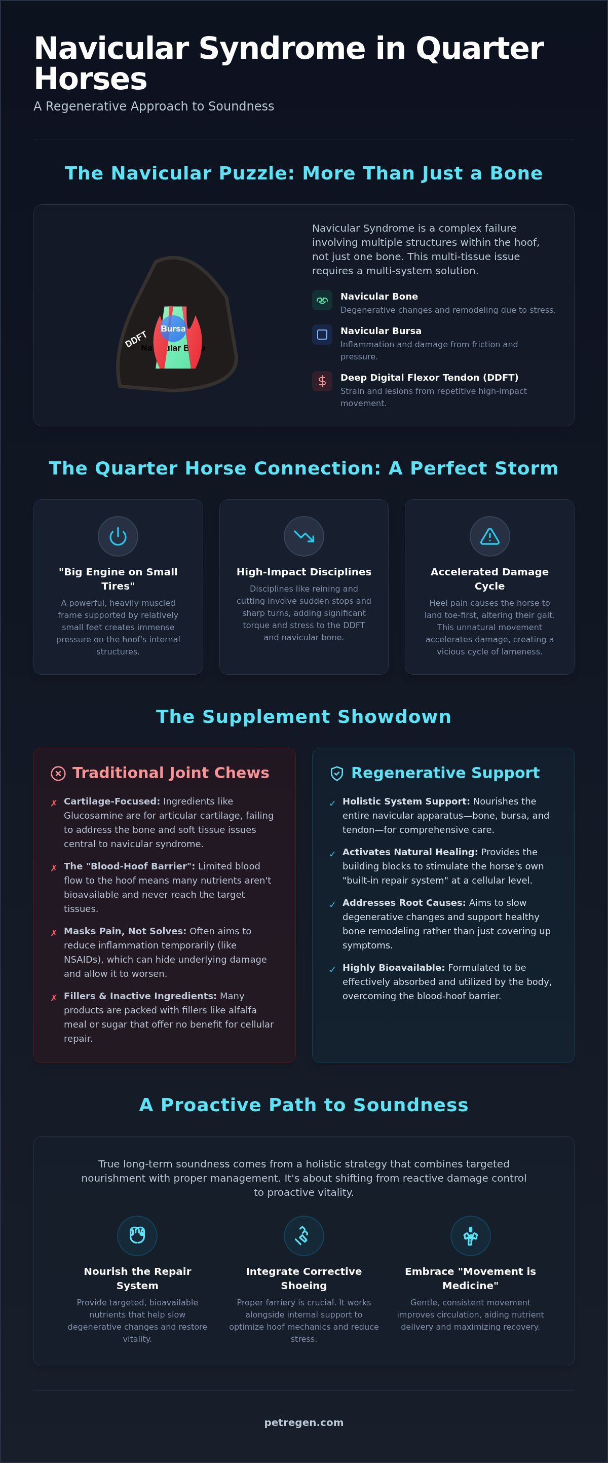 Supplements for quarter horse navicular