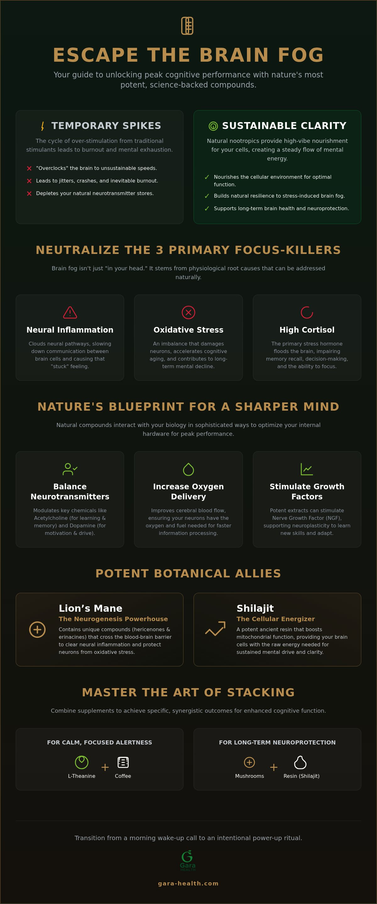 Natural nootropics for focus