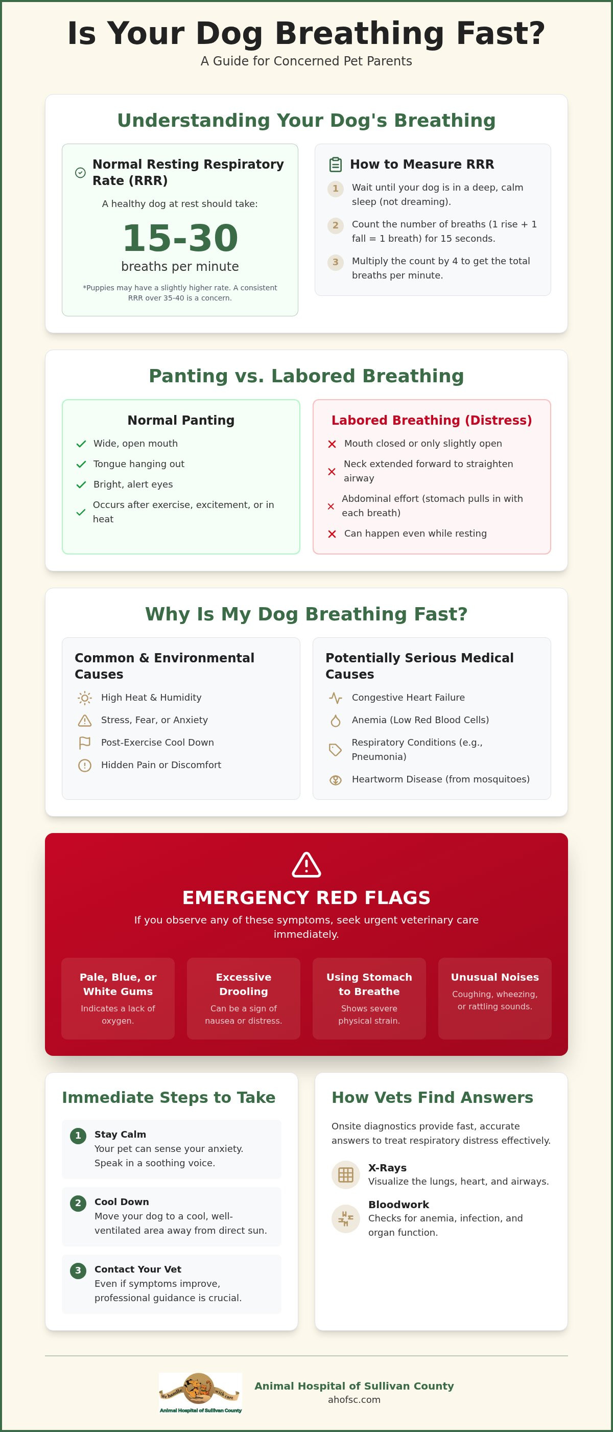 Dog breathing fast what to do