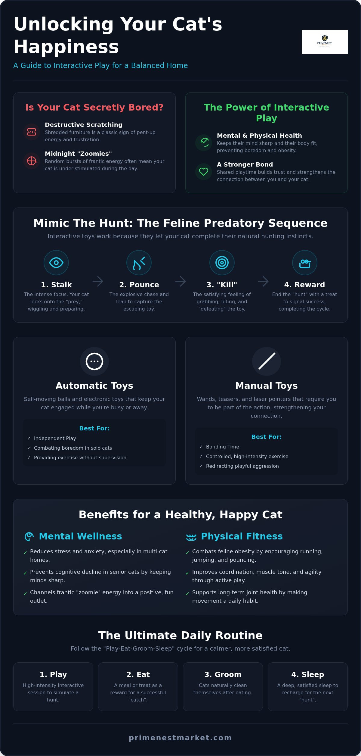 Interactive cat toys