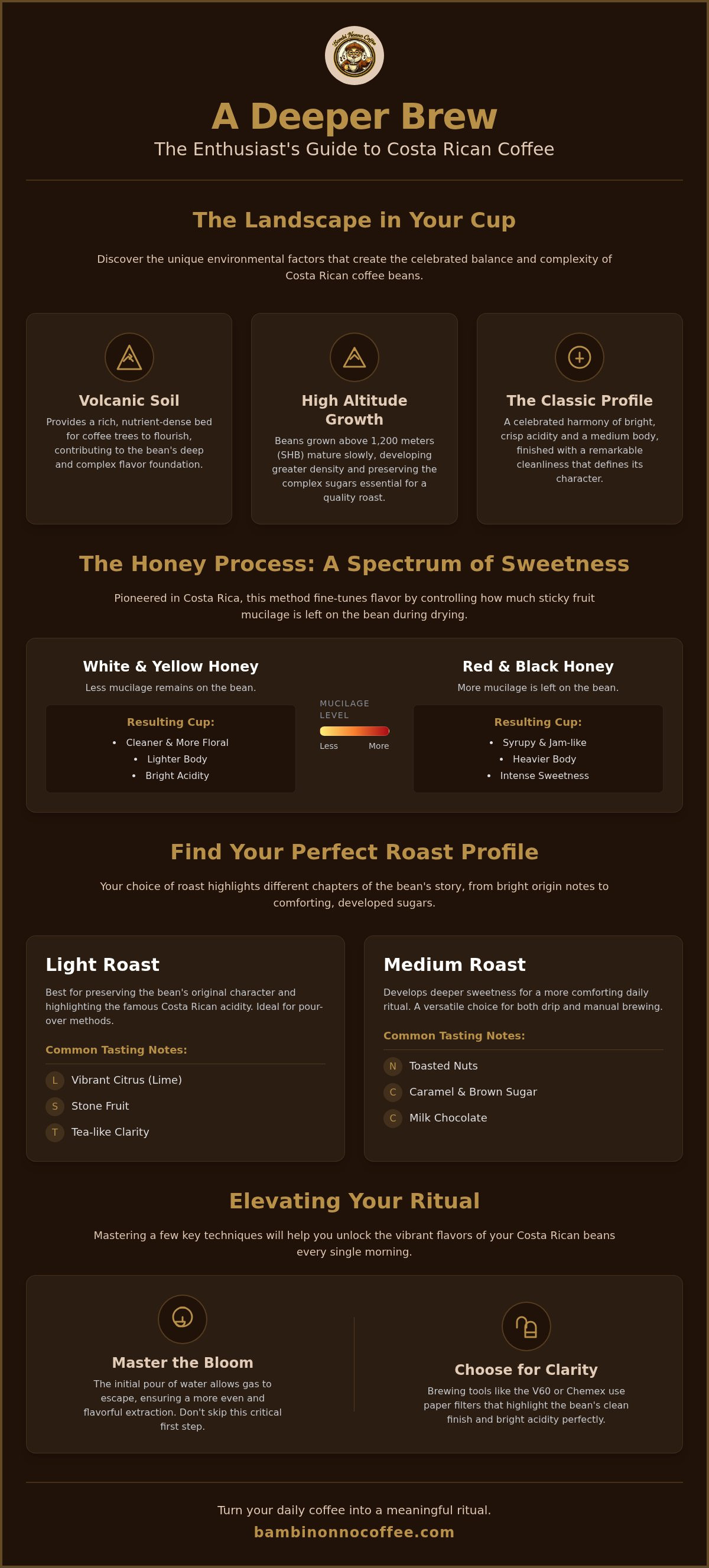 Costa rican coffee beans