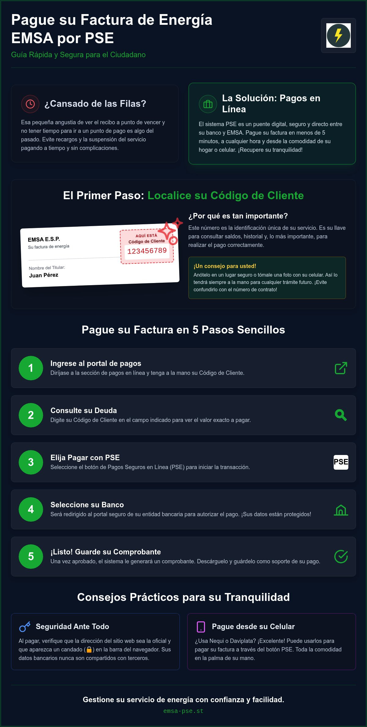 Emsa pse factura