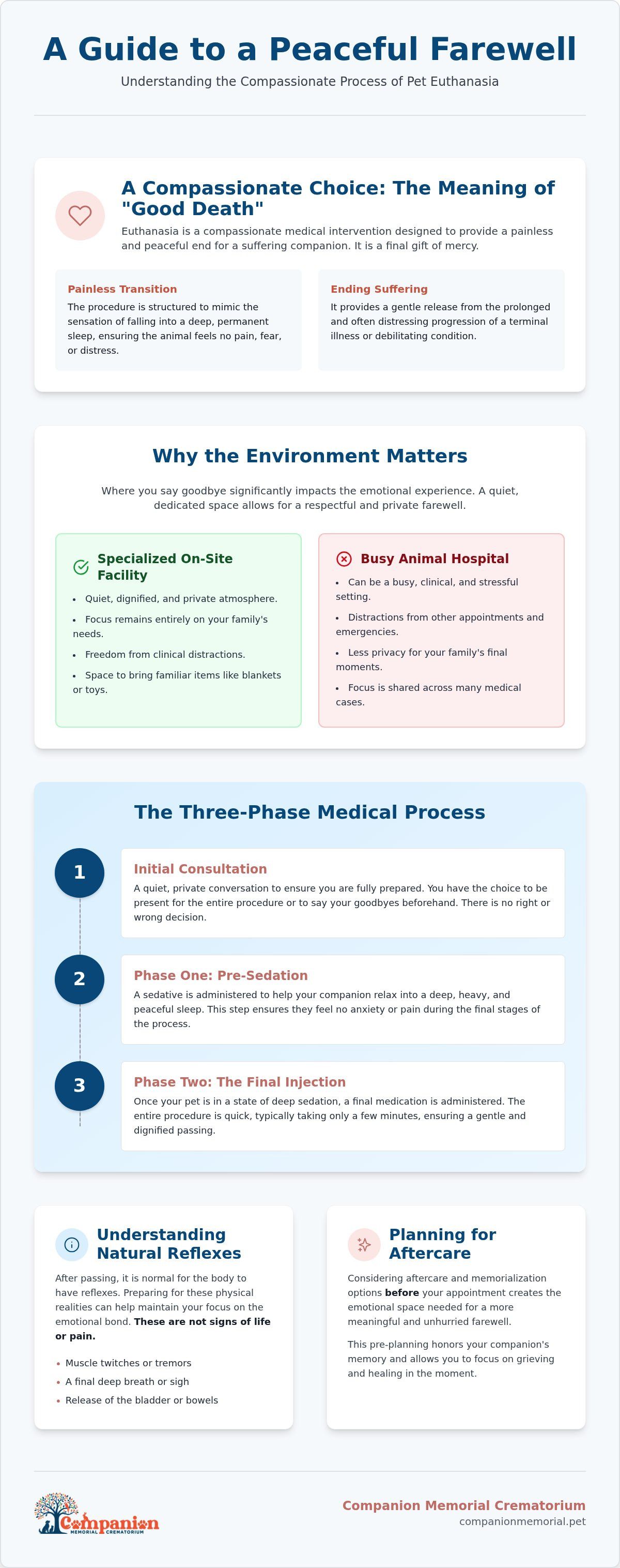 What to expect during pet euthanasia