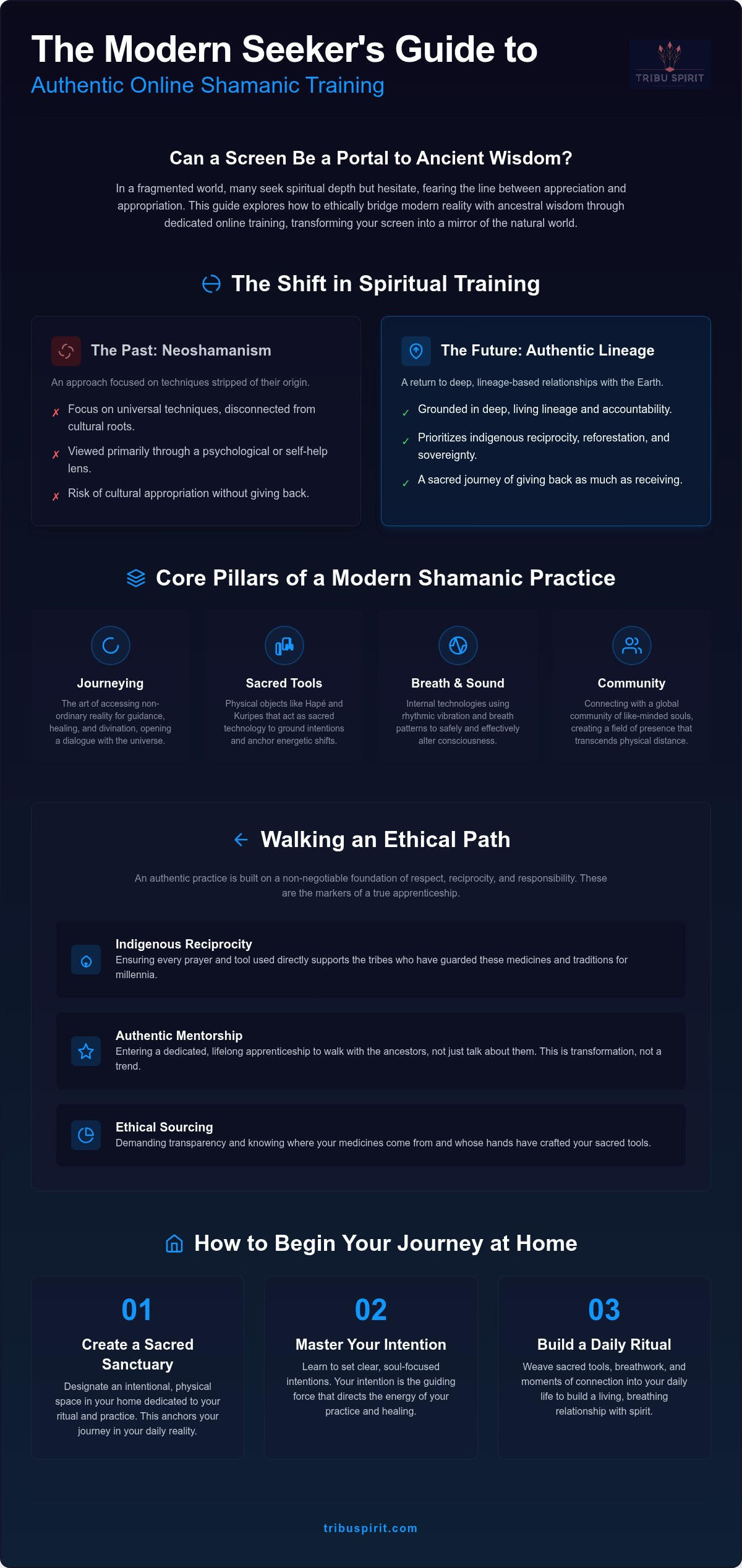 Shamanic training online