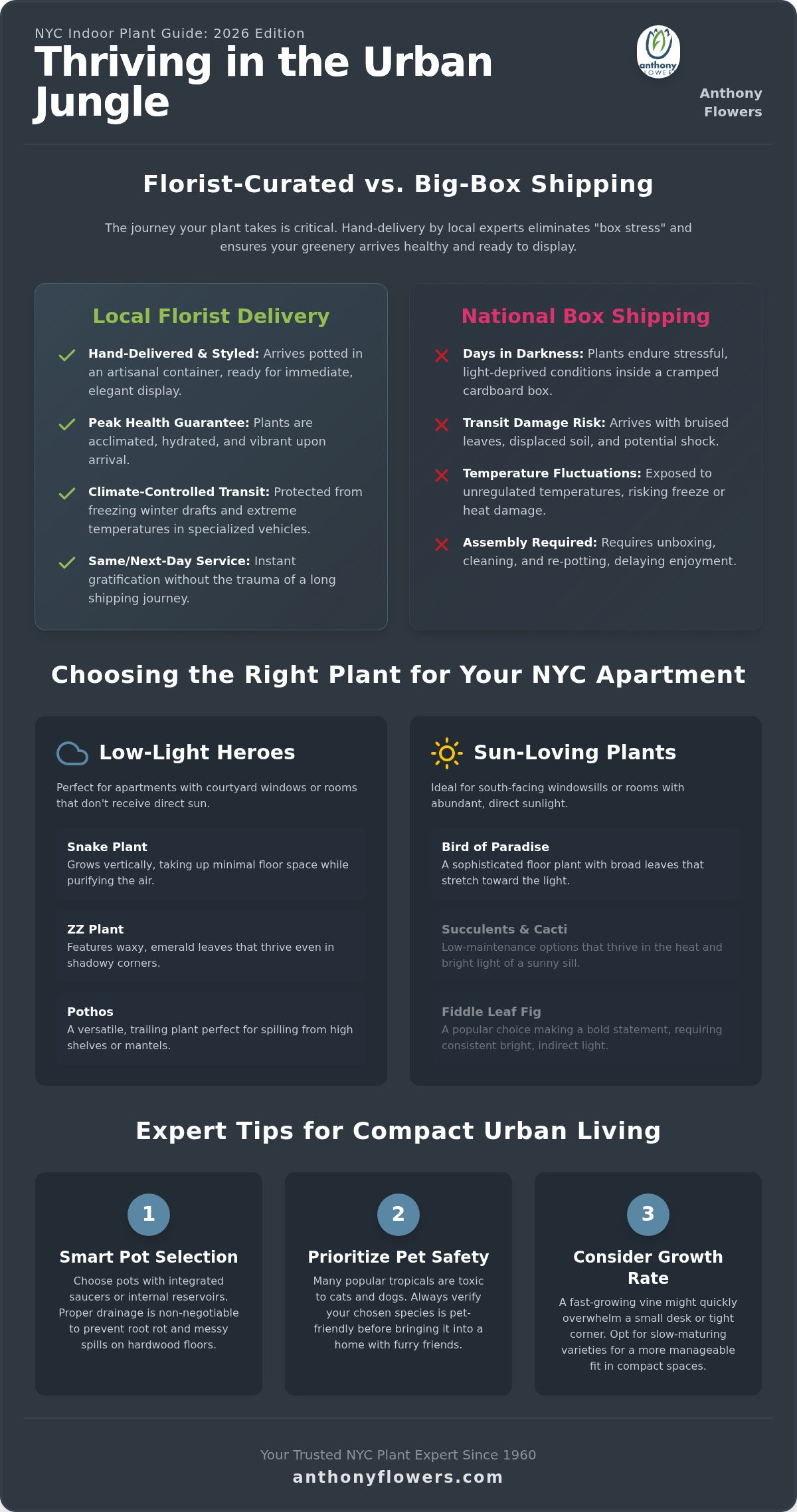 Indoor plant delivery NYC