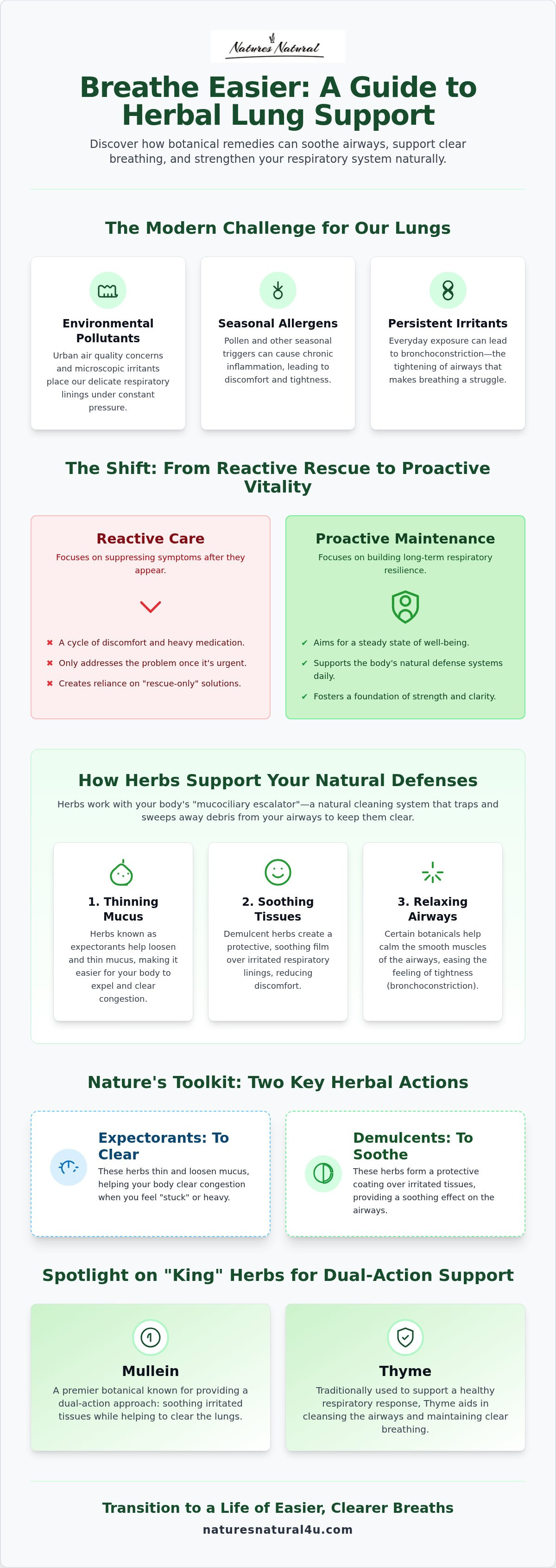 Herbs for lung health and breathing