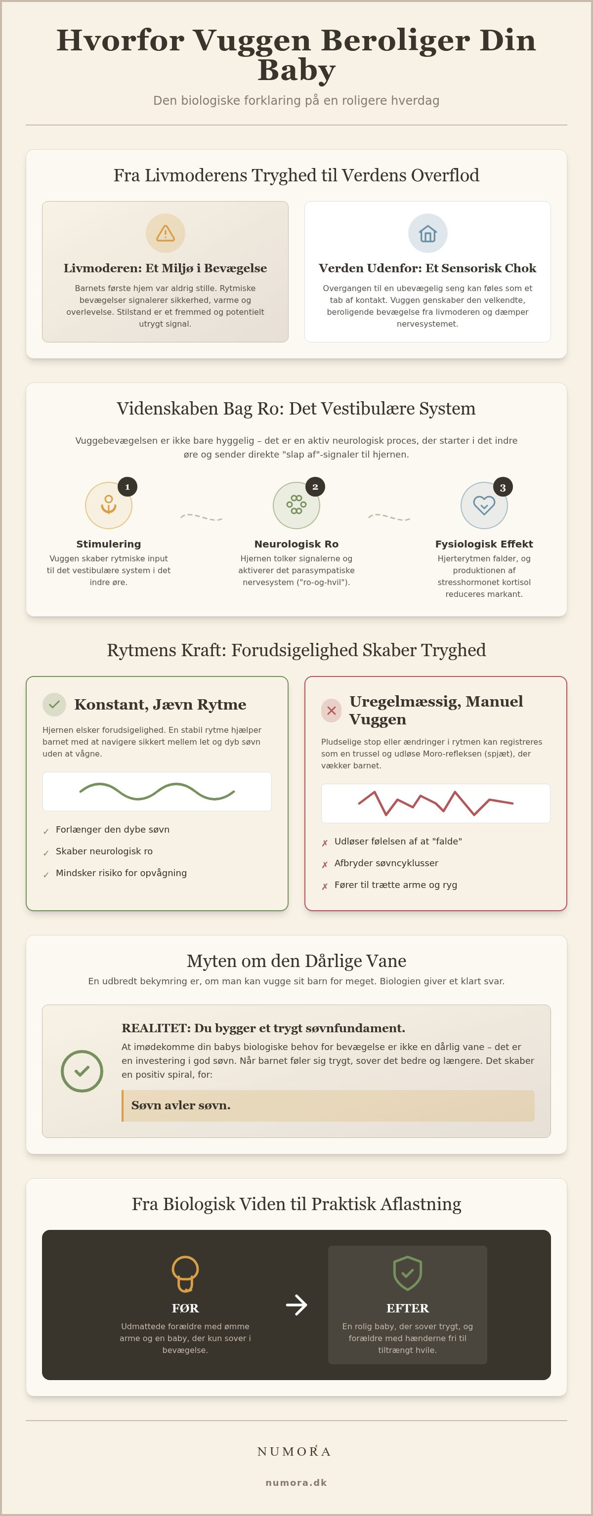 Hvorfor beroliger vuggen babyer
