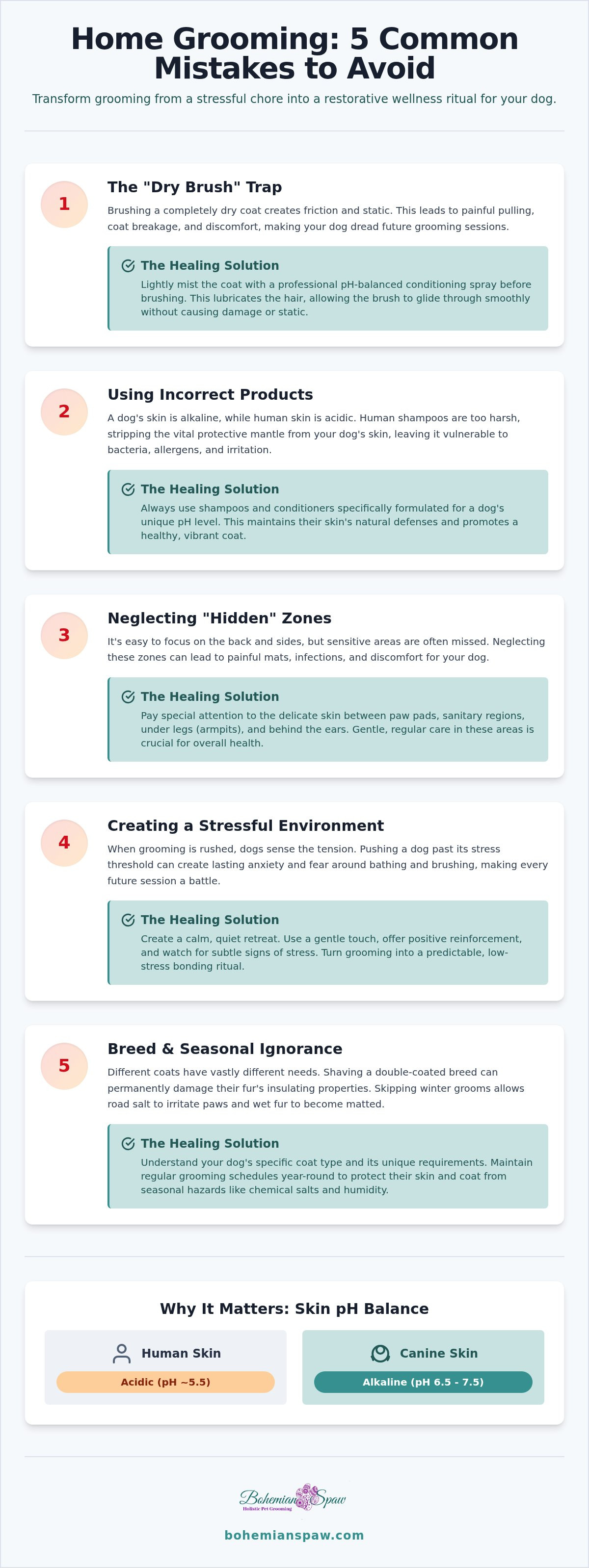 Common dog grooming mistakes