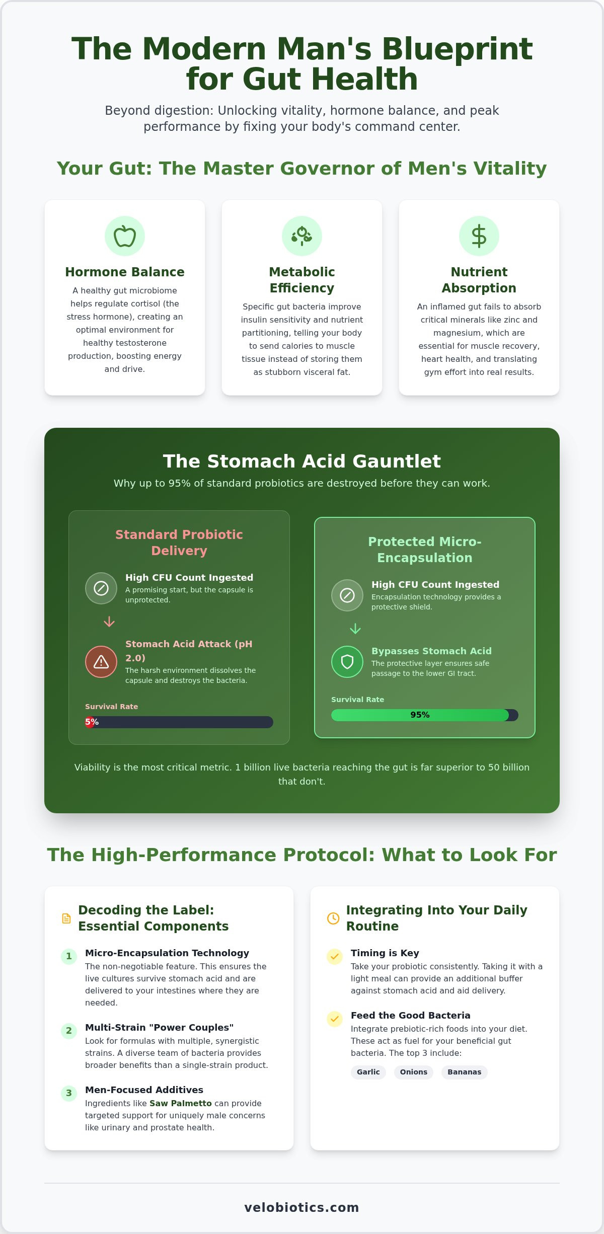 Probiotics for men's gut health