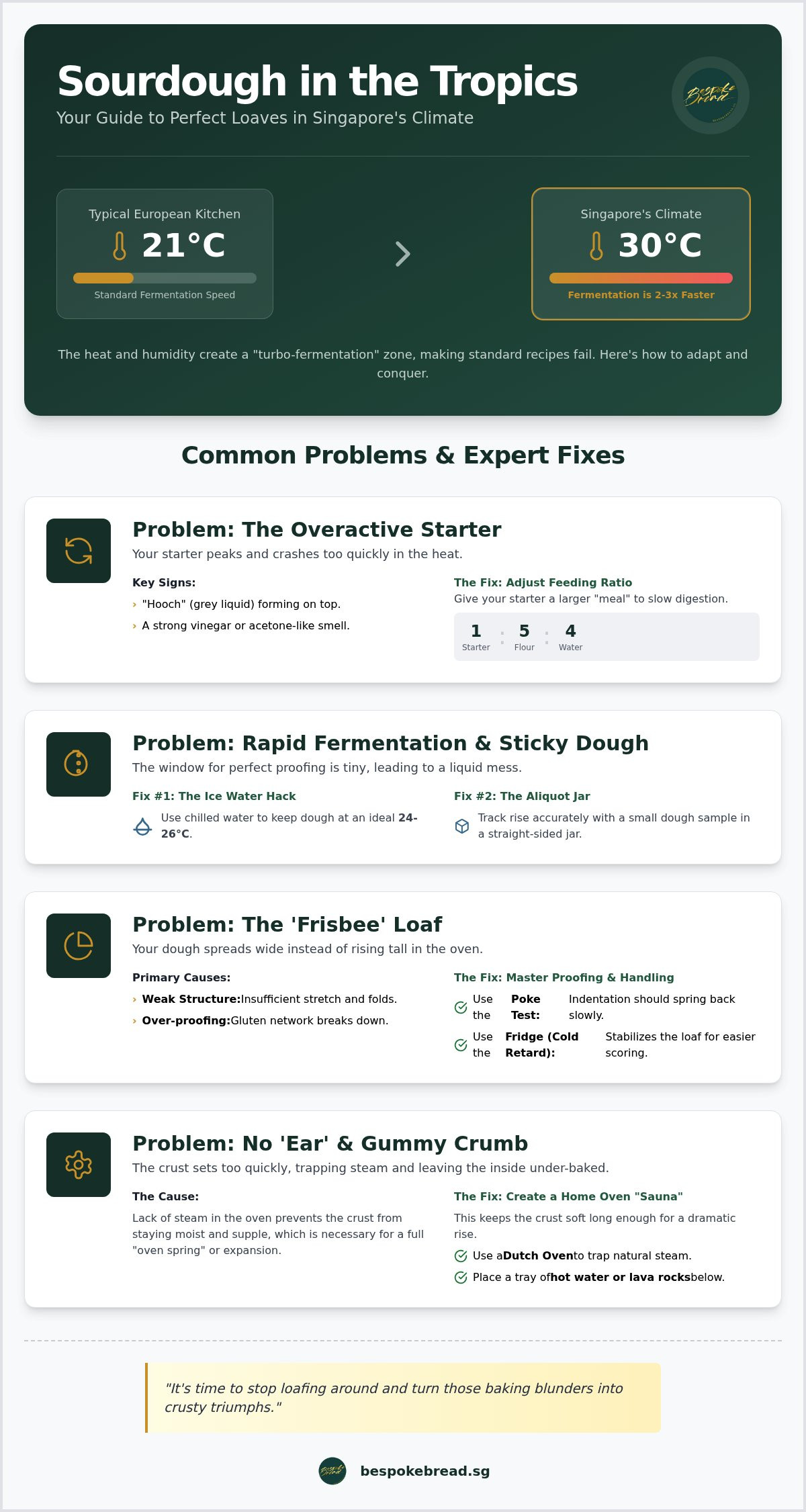 Sourdough troubleshooting Singapore
