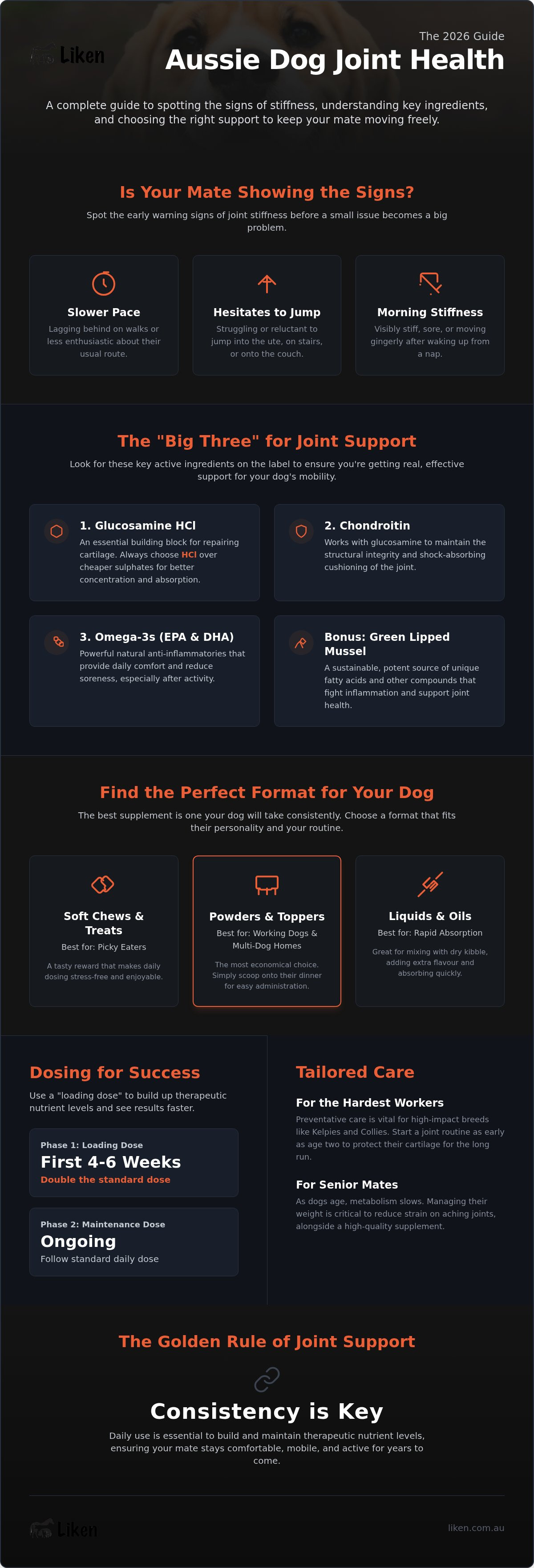 Dog joint supplement australia