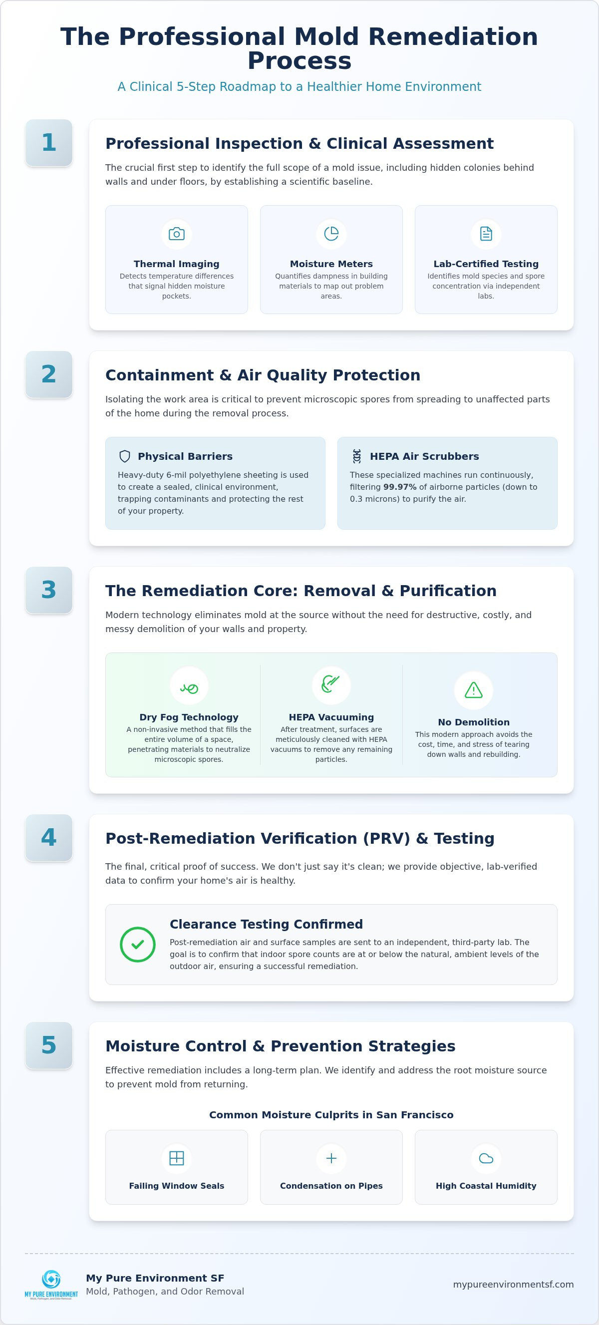 Mold remediation process steps