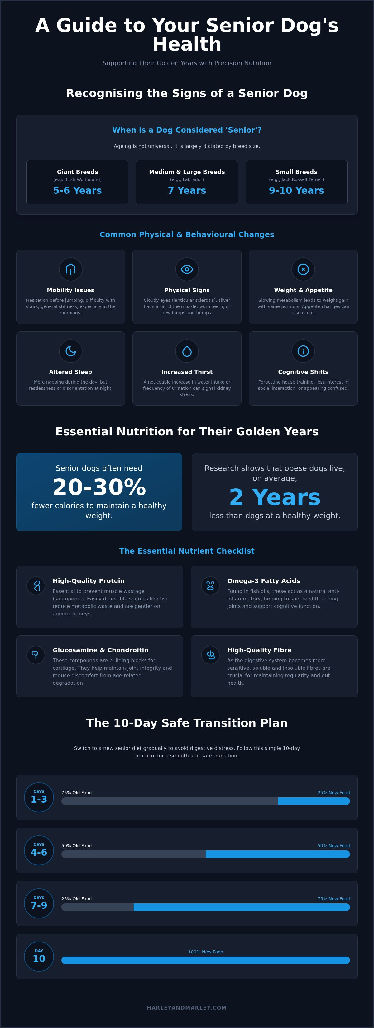 Dog food for older dogs