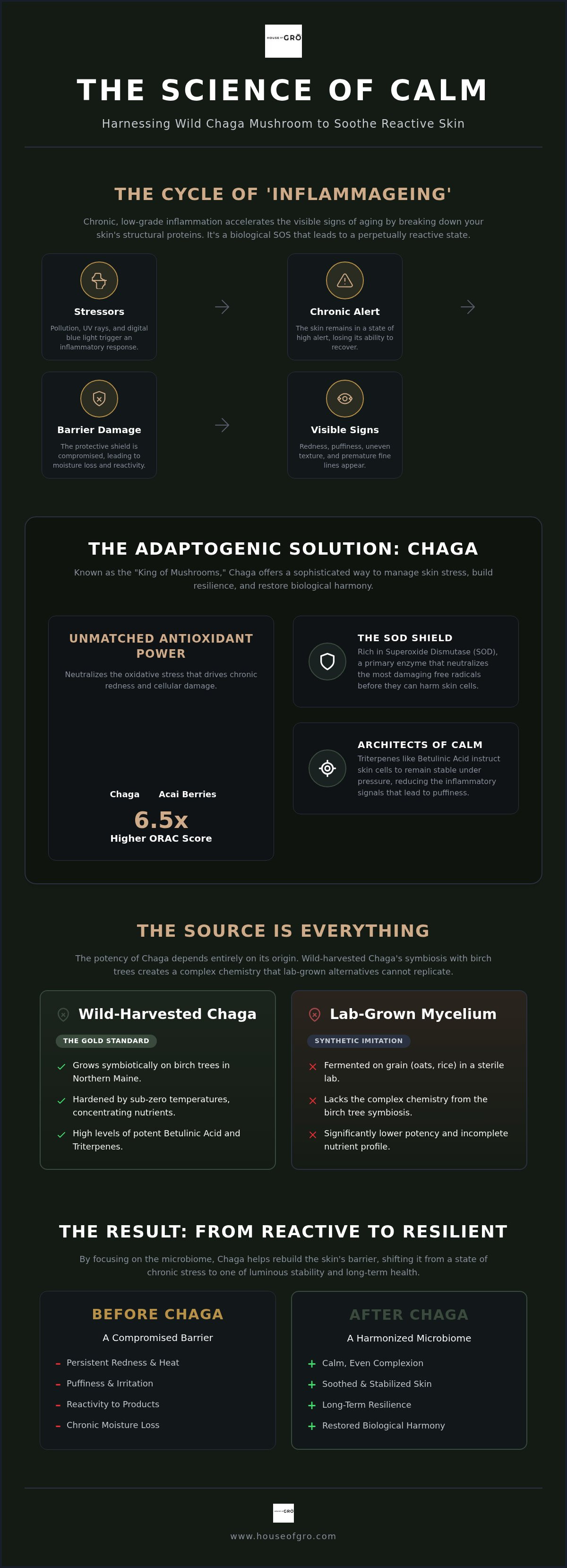 Chaga mushroom for skin inflammation