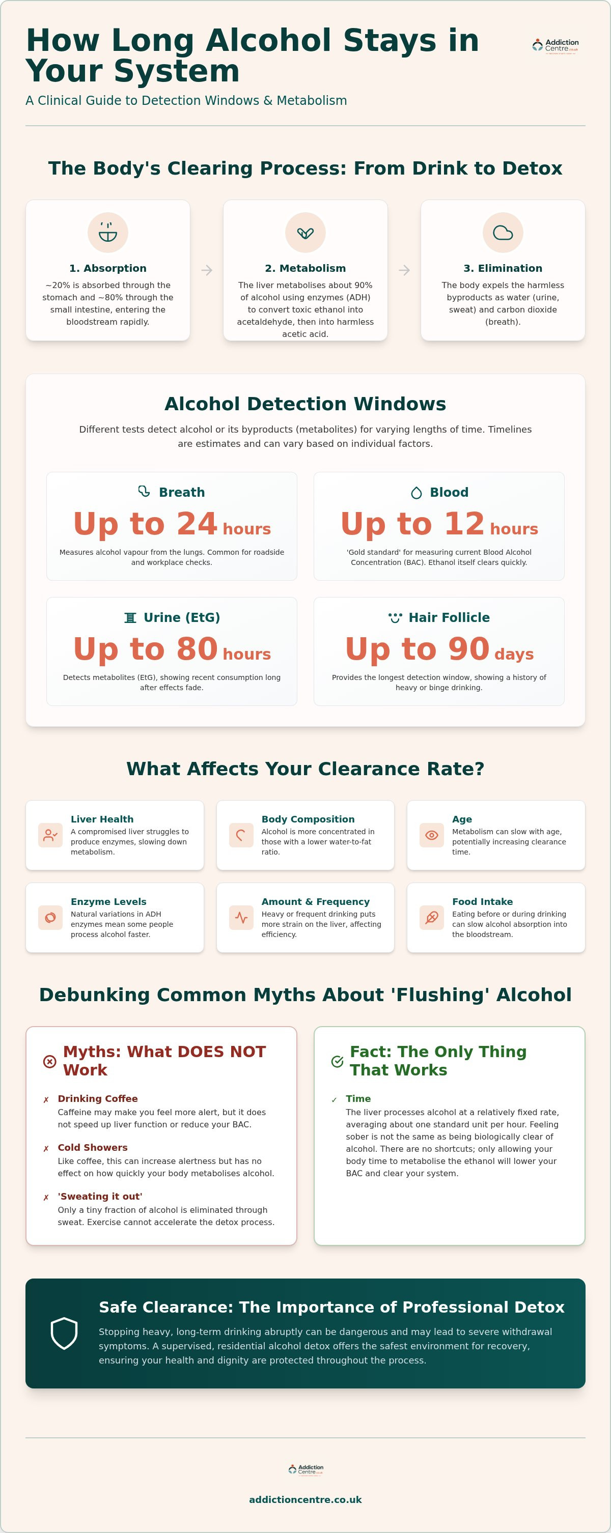 How long does alcohol stay in your system