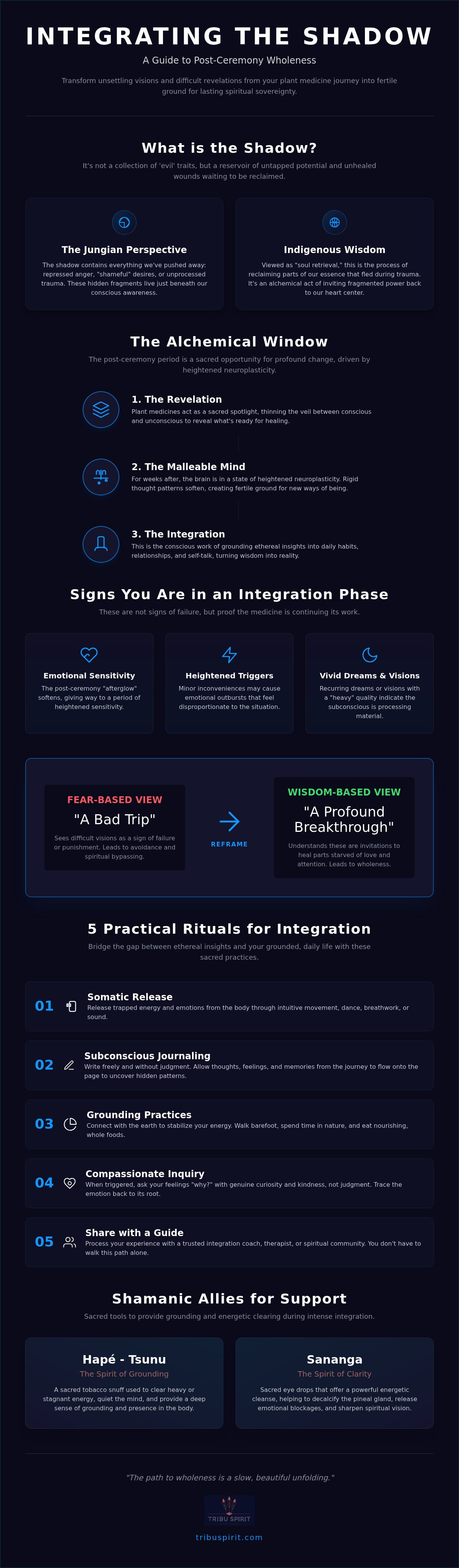 Integrating shadow work after a plant medicine journey