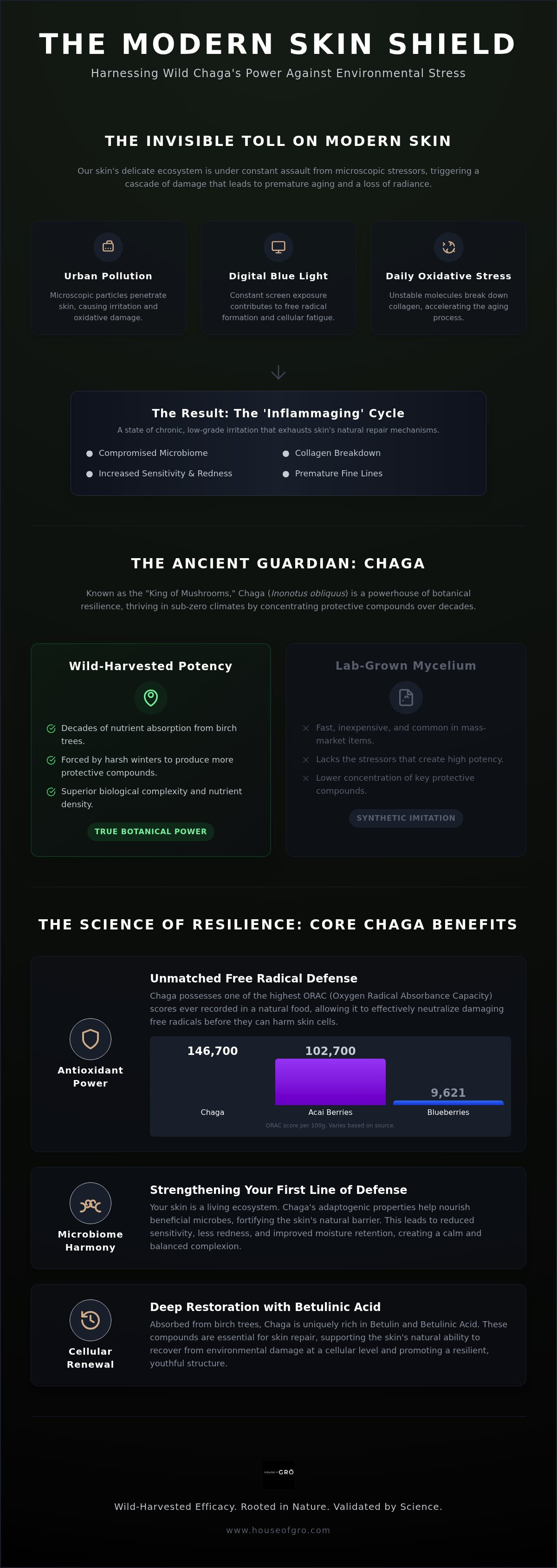 Chaga benefits for skin