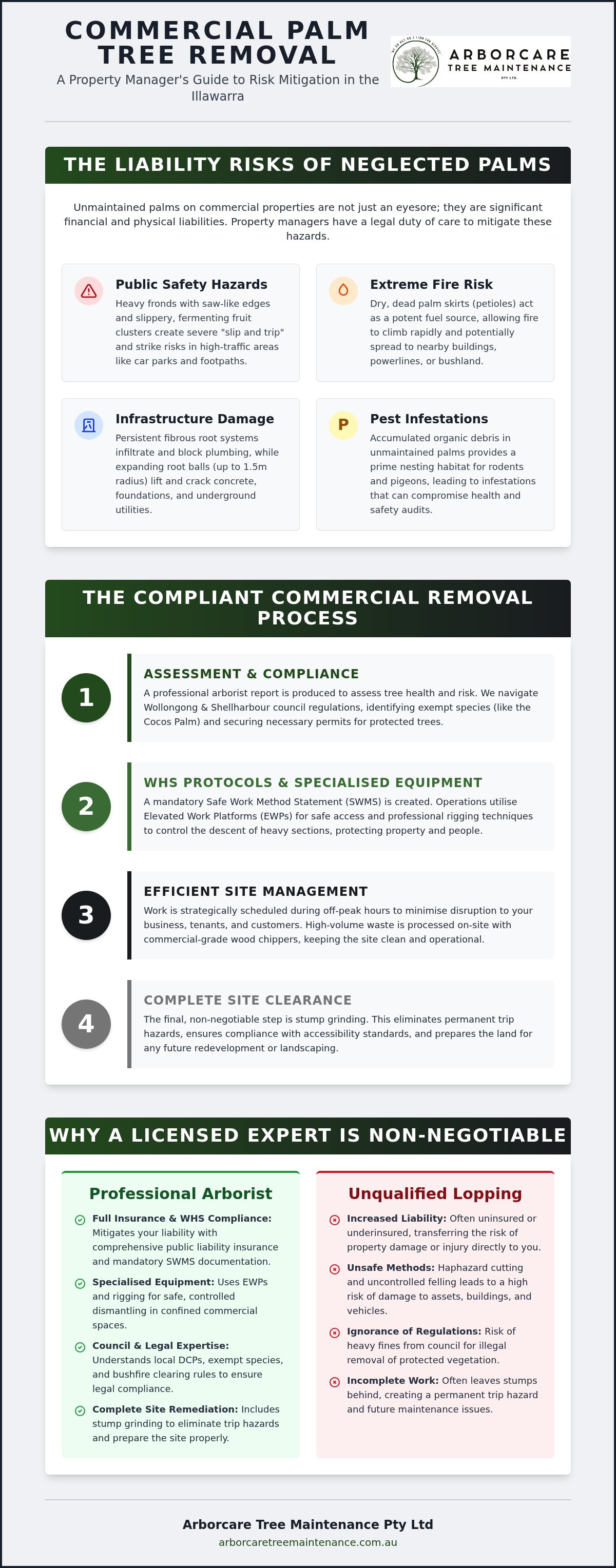 Commercial palm tree removal Illawarra