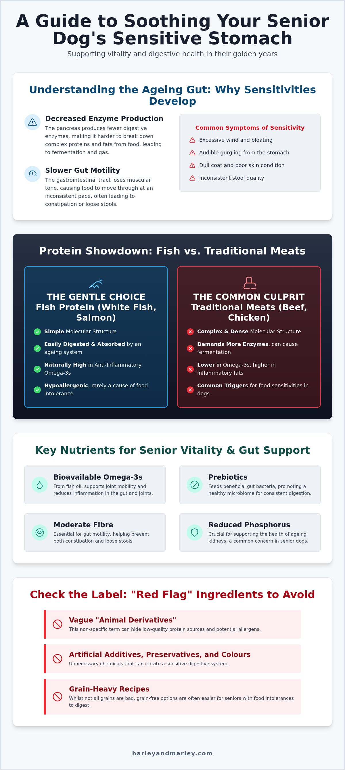 Best dog food for senior dogs with sensitive stomachs Ireland