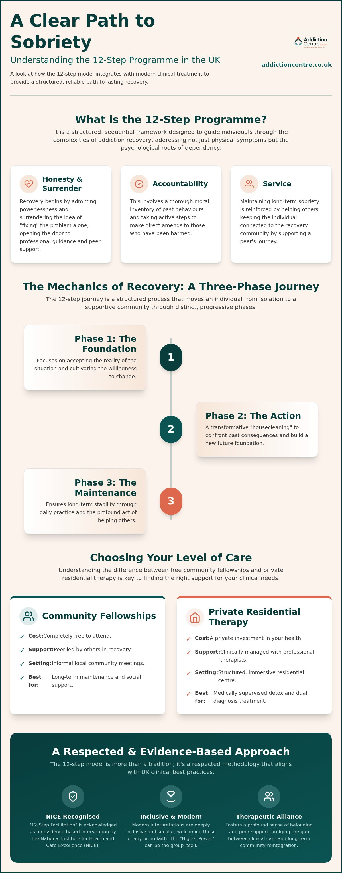 12 step programme UK