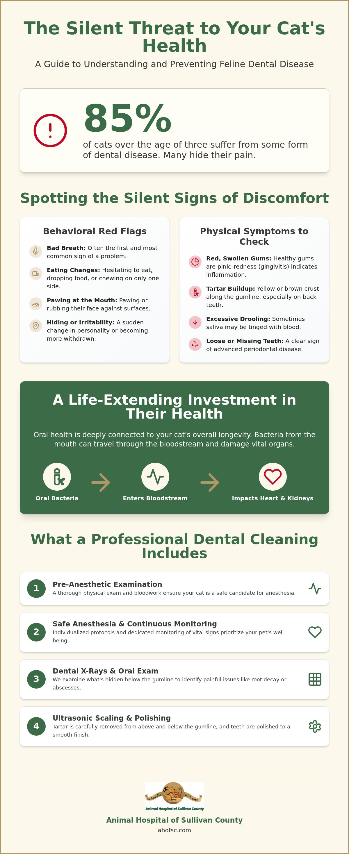 Signs of dental disease in cats Sullivan County