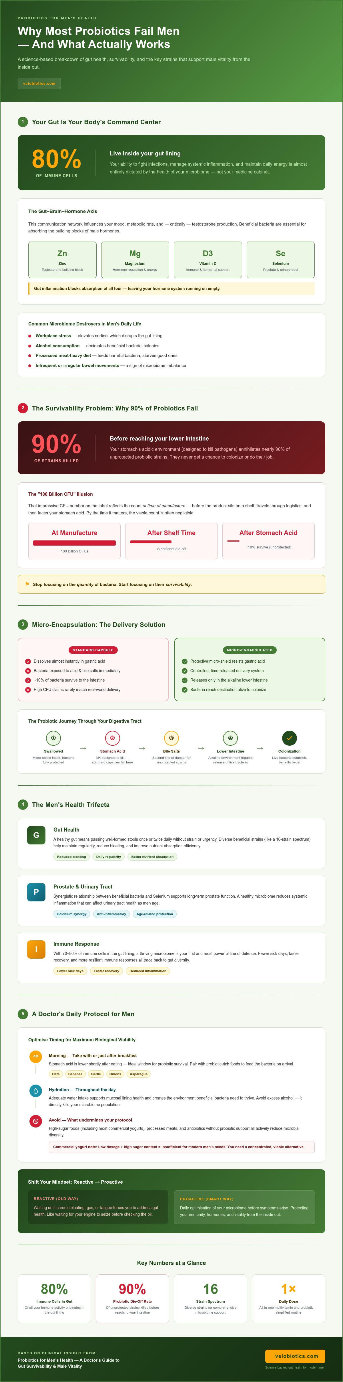 Probiotics for men's health