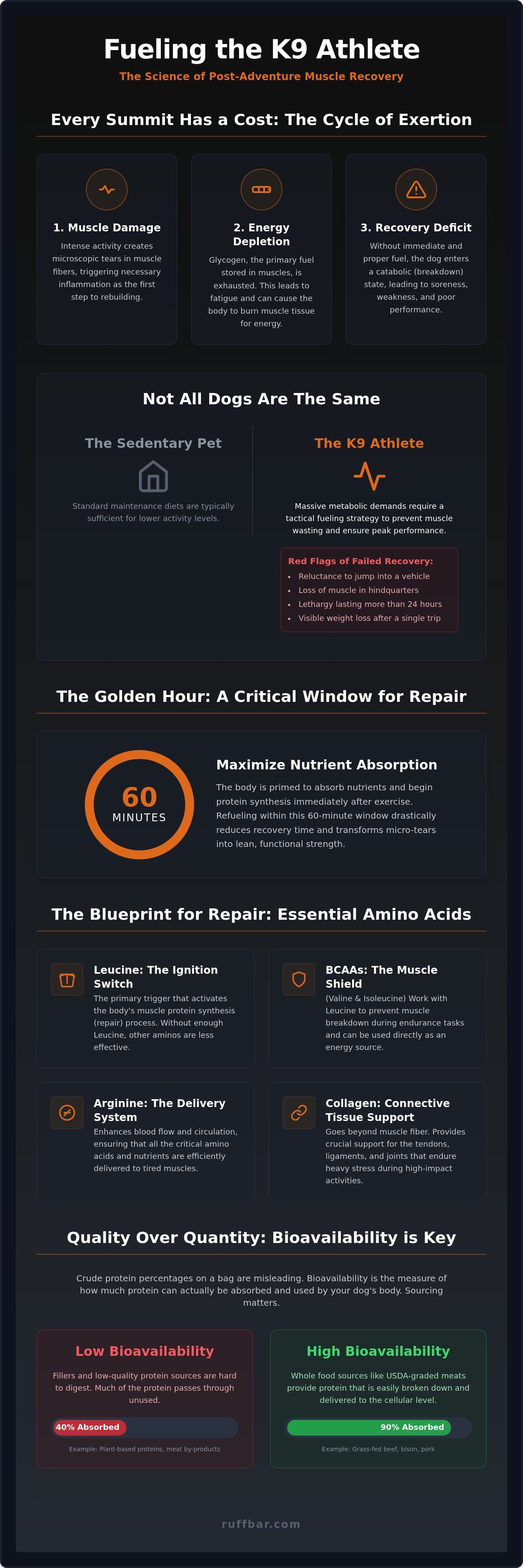 Dog nutrition for muscle recovery