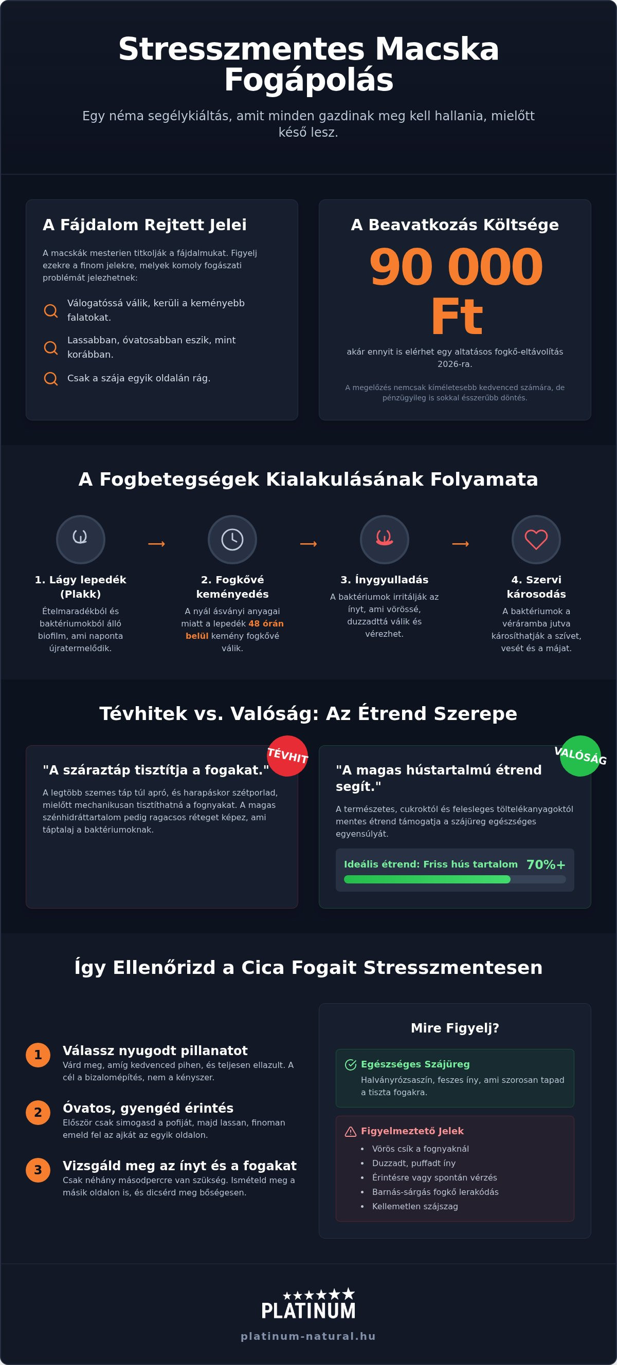 Macska fogápolás