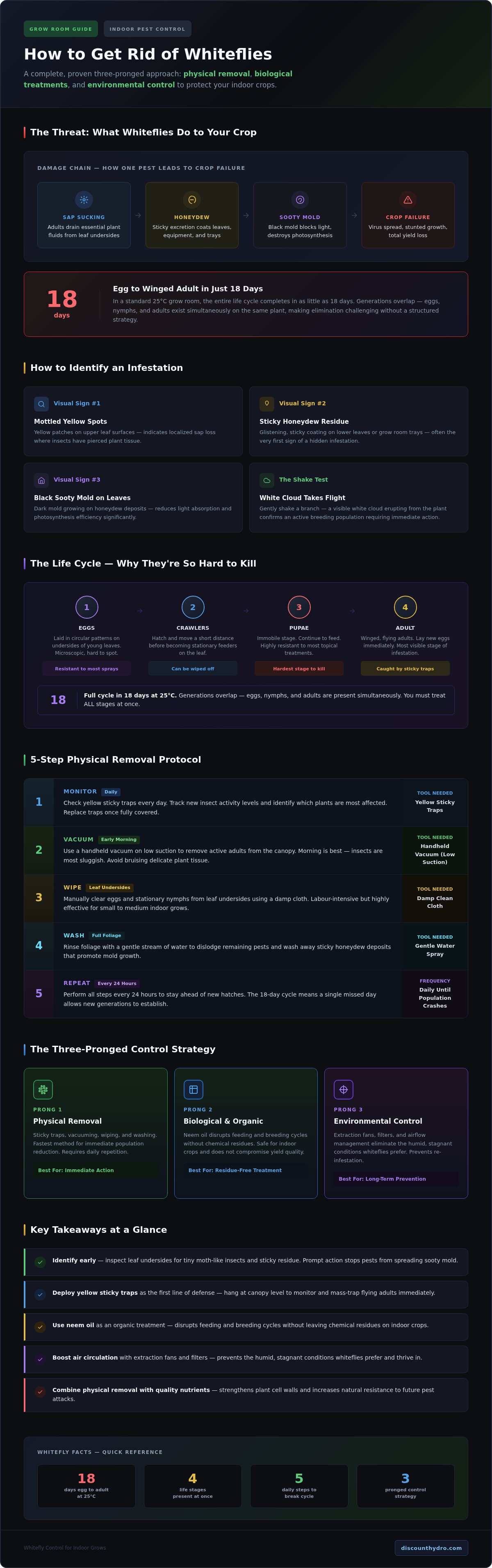 How to get rid of whiteflies