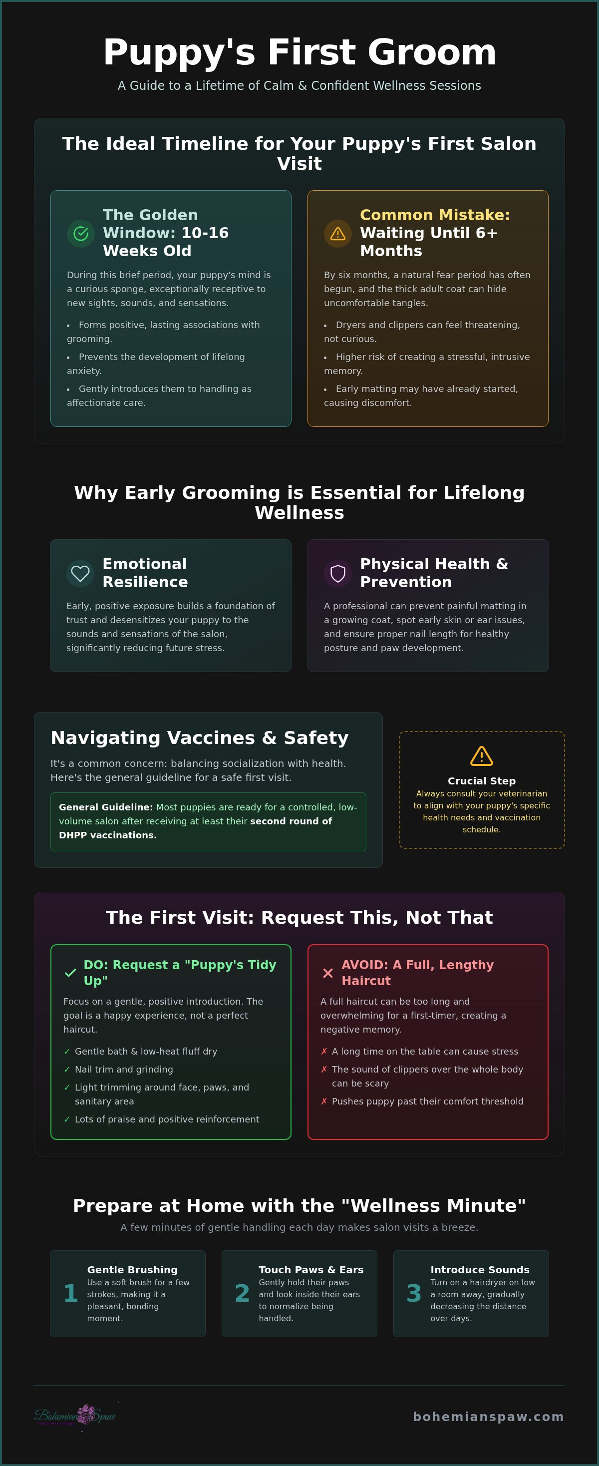 When to start grooming a puppy