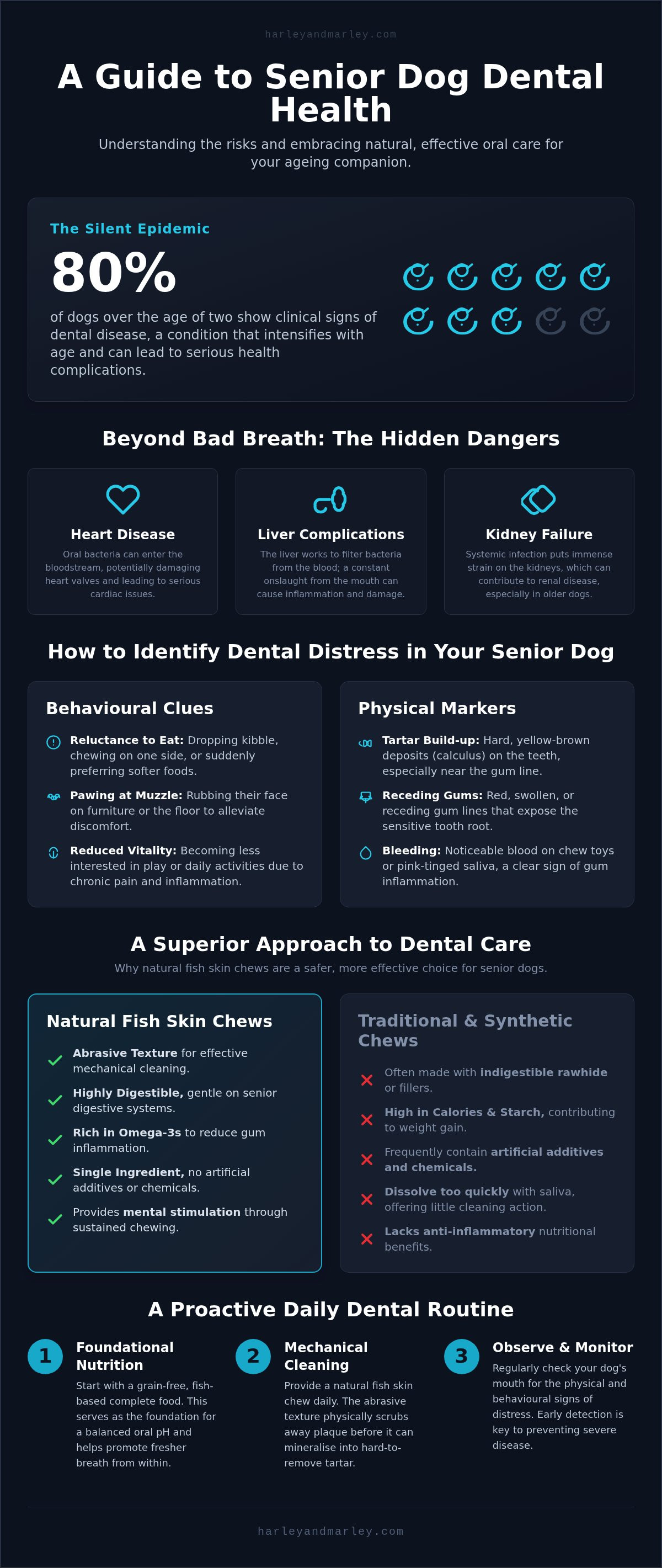 Senior dog dental health Ireland