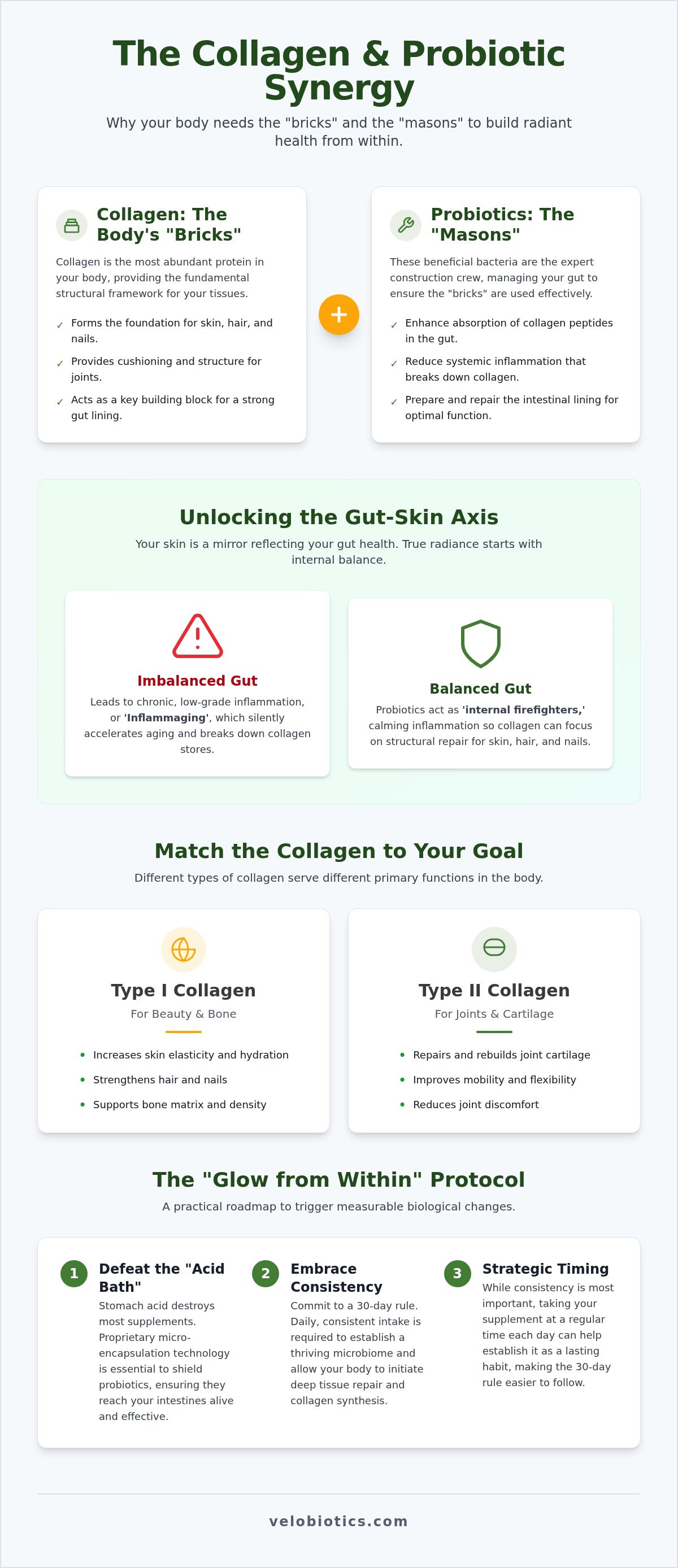Benefits of collagen with probiotics