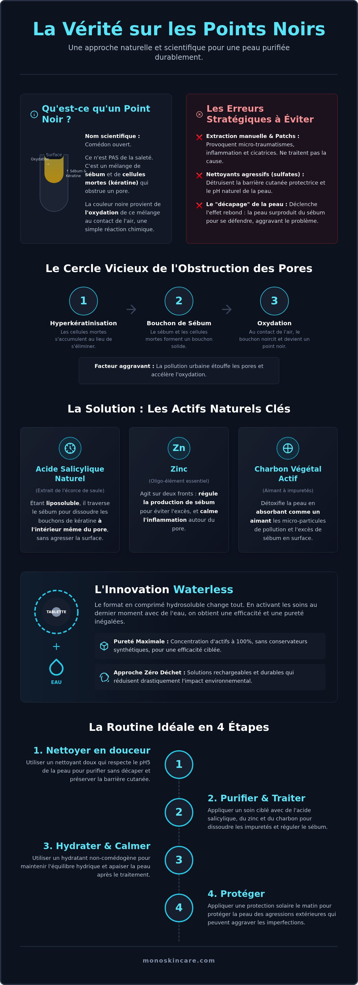 Points noirs visage solution naturelle