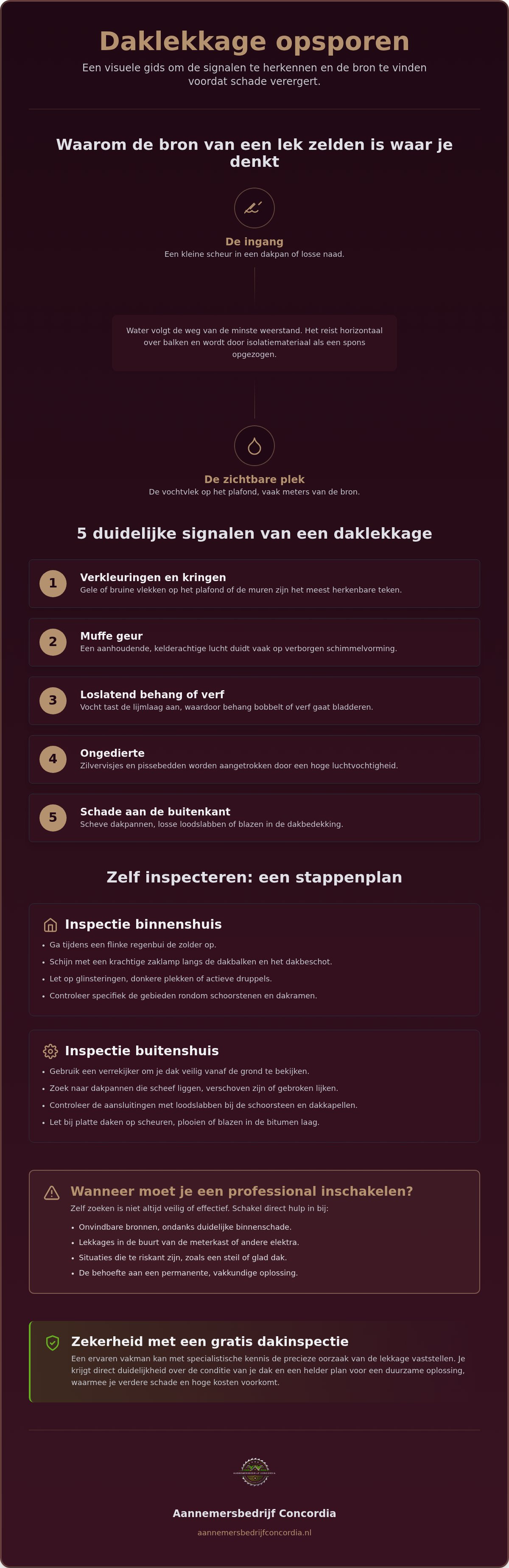 Daklekkage opsporen