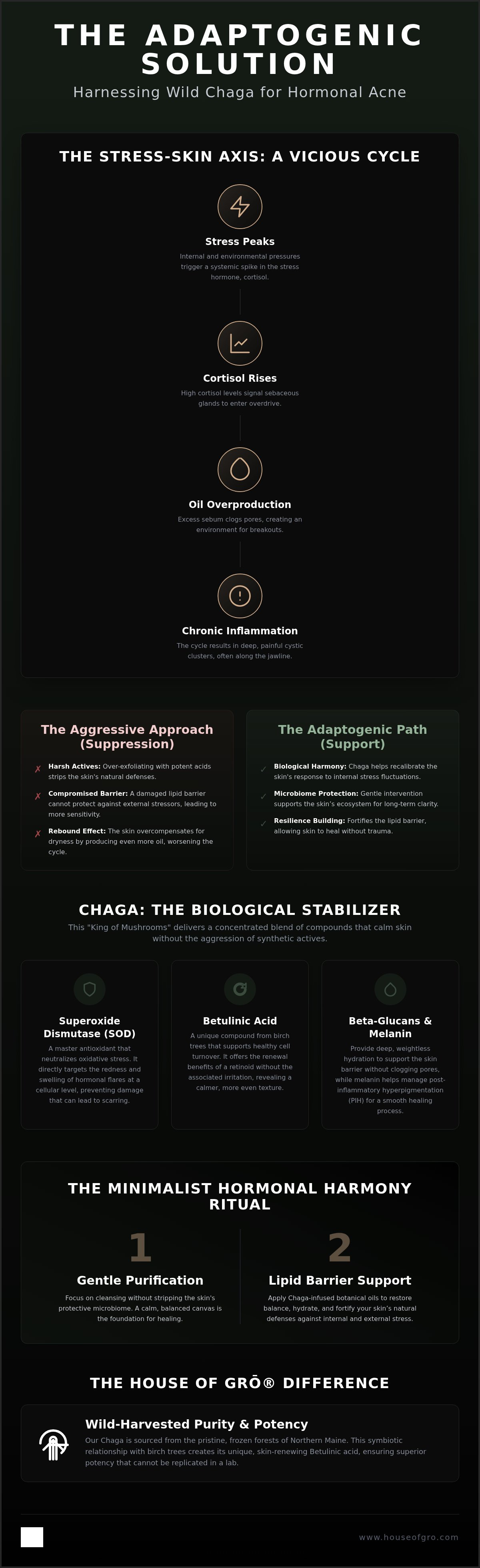 Chaga for hormonal acne