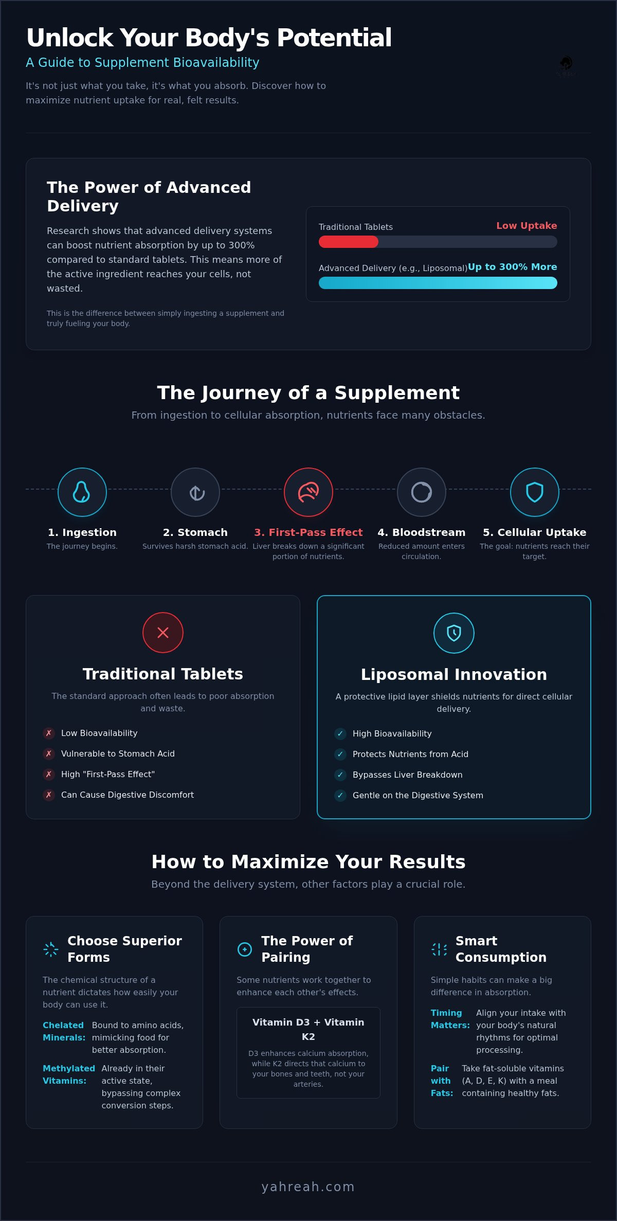 Supplement bioavailability