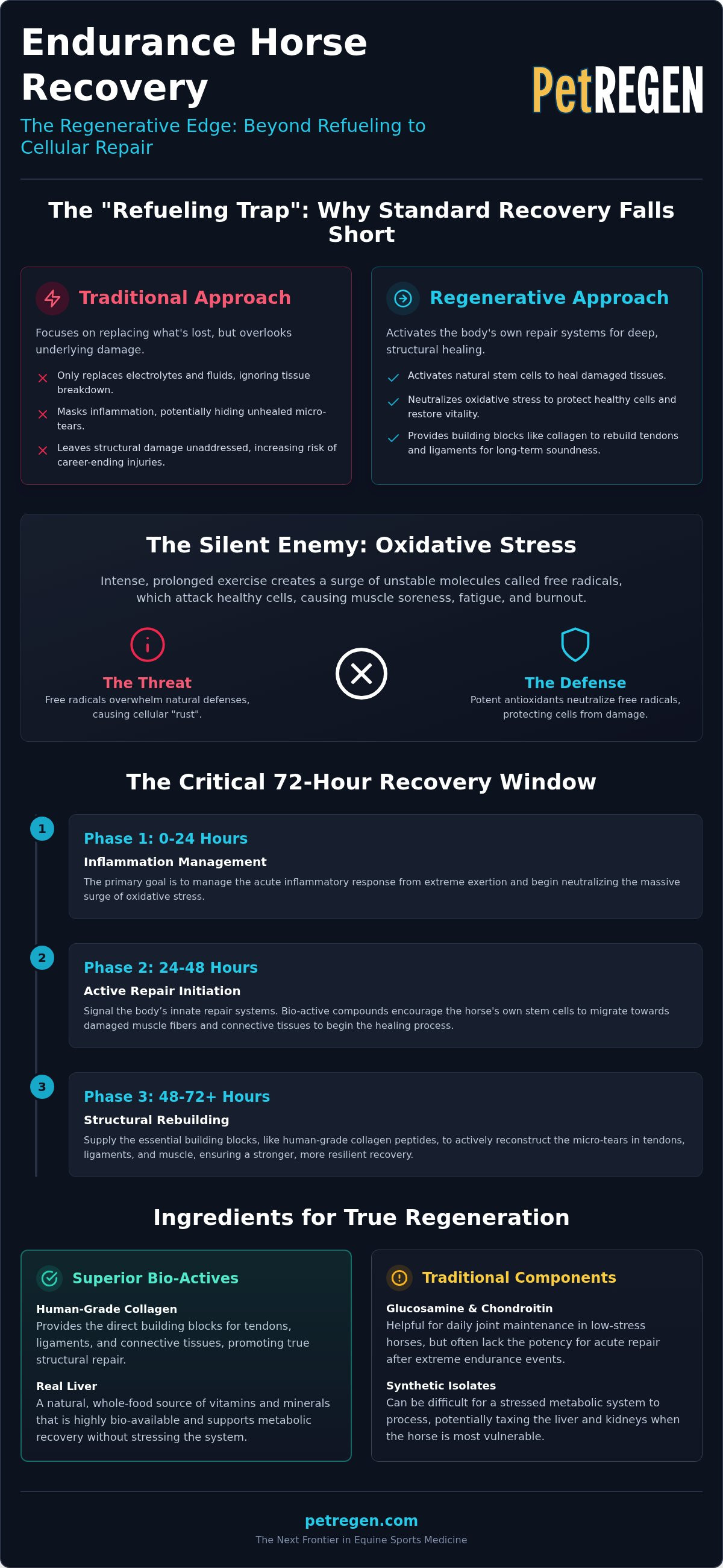 Endurance horse recovery supplement