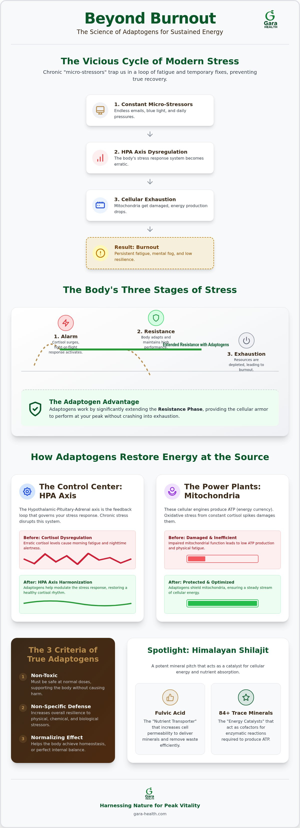 Best adaptogens for fatigue
