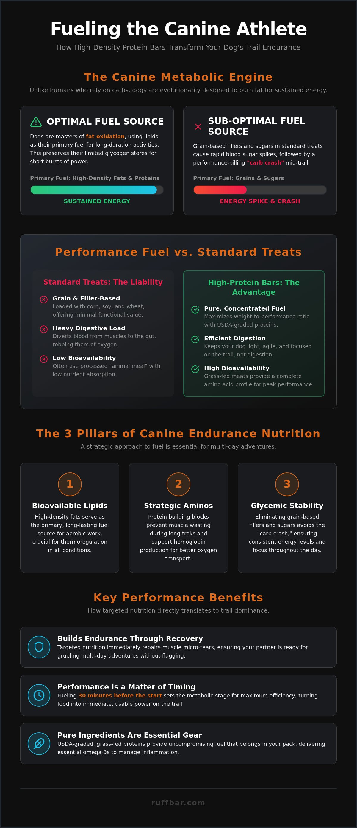 How protein bars improve dog endurance